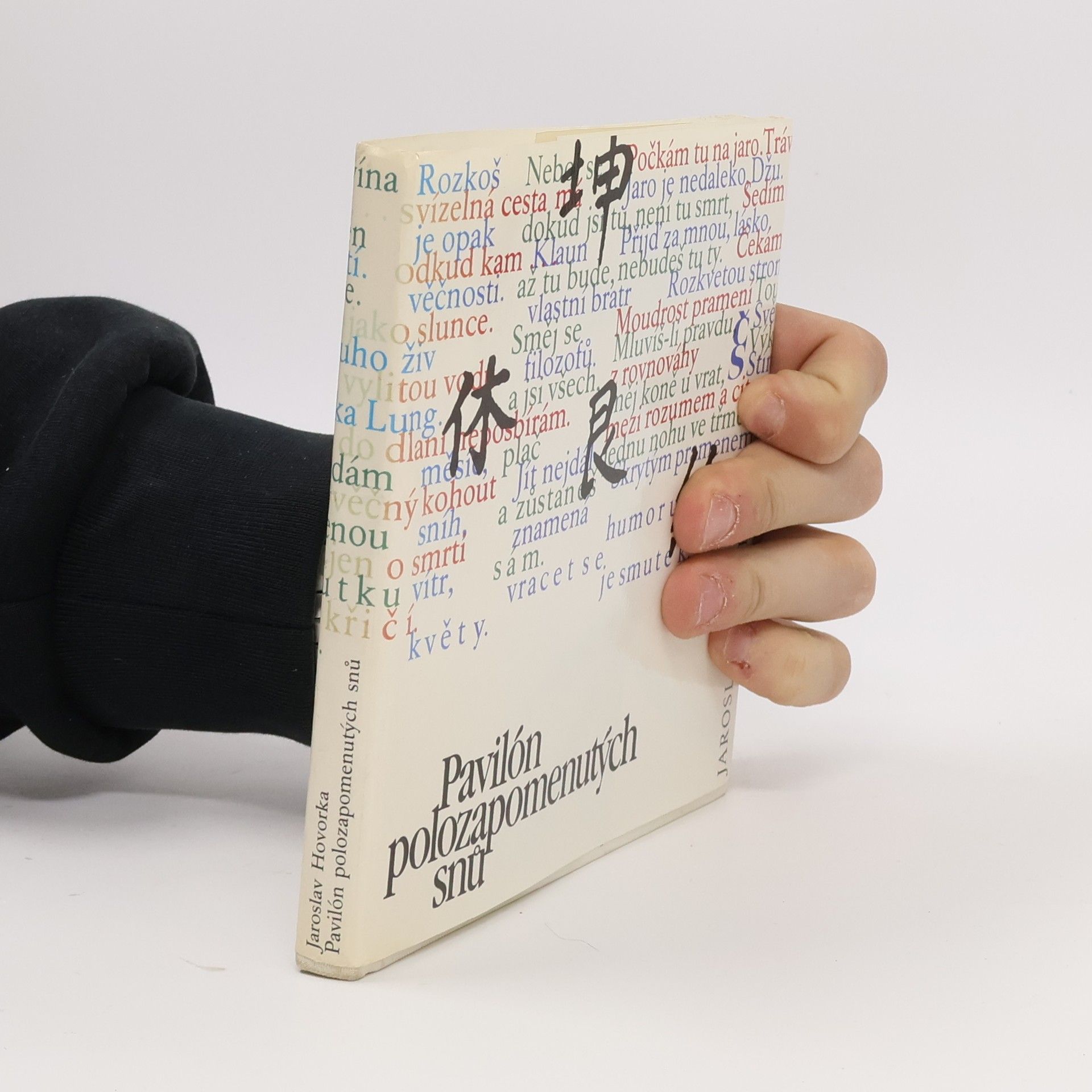 Jaroslav Hovorka Pavilón polozapomenutých snů