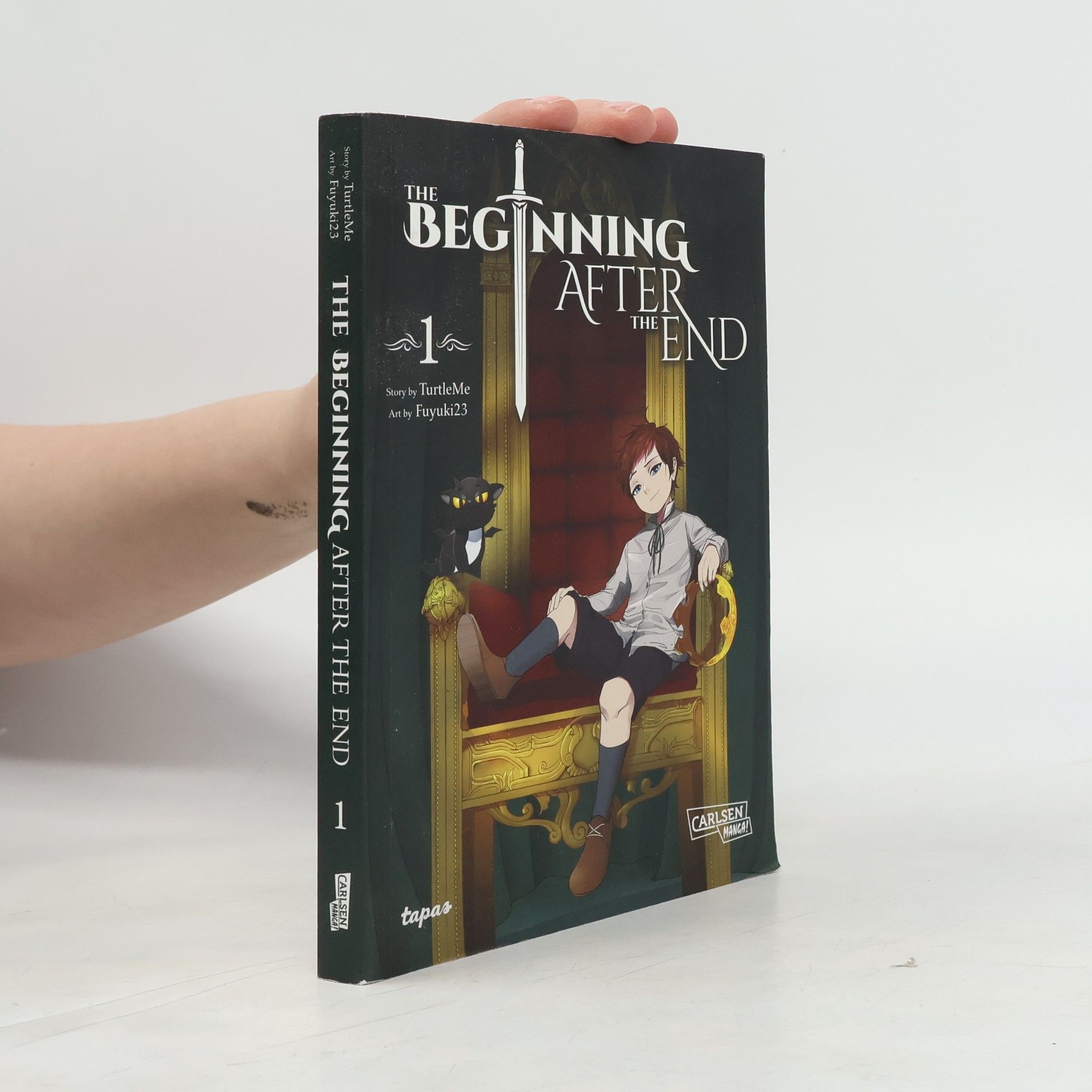 TurtleMe The Beginning after the End 1