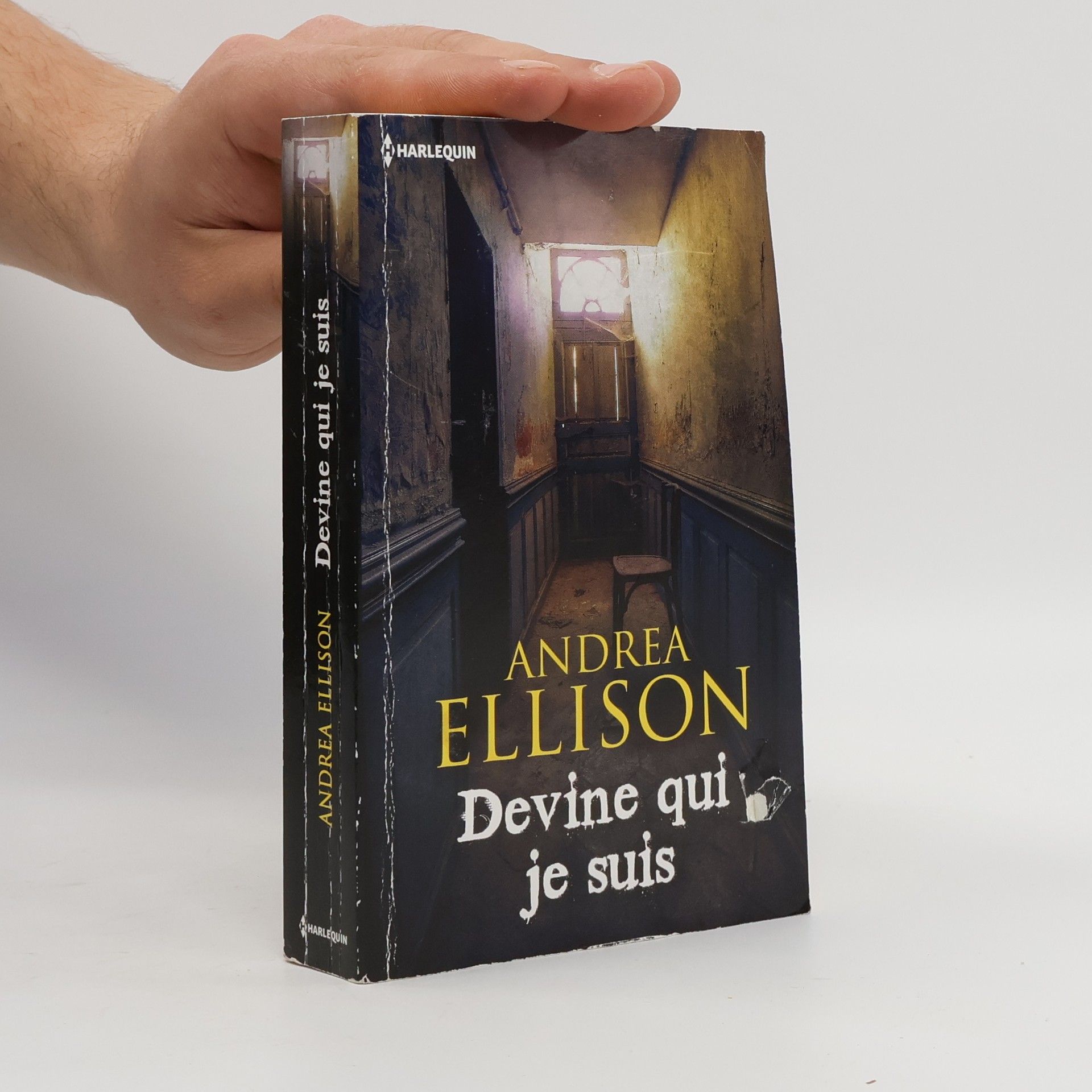 Andrea Ellison Devine qui je suis