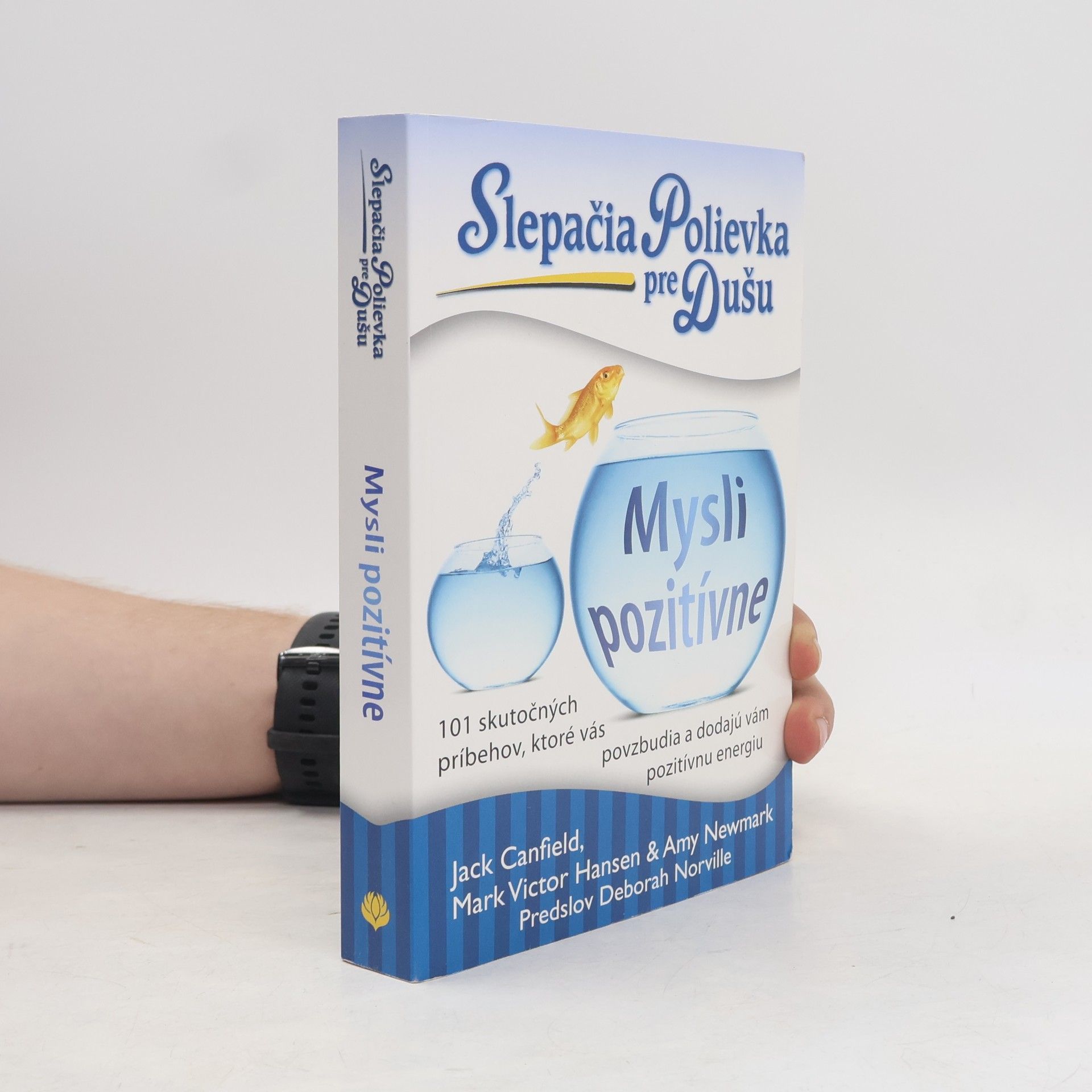 Amy Newmark Slepačia polievka pre dušu: Mysli pozitívne