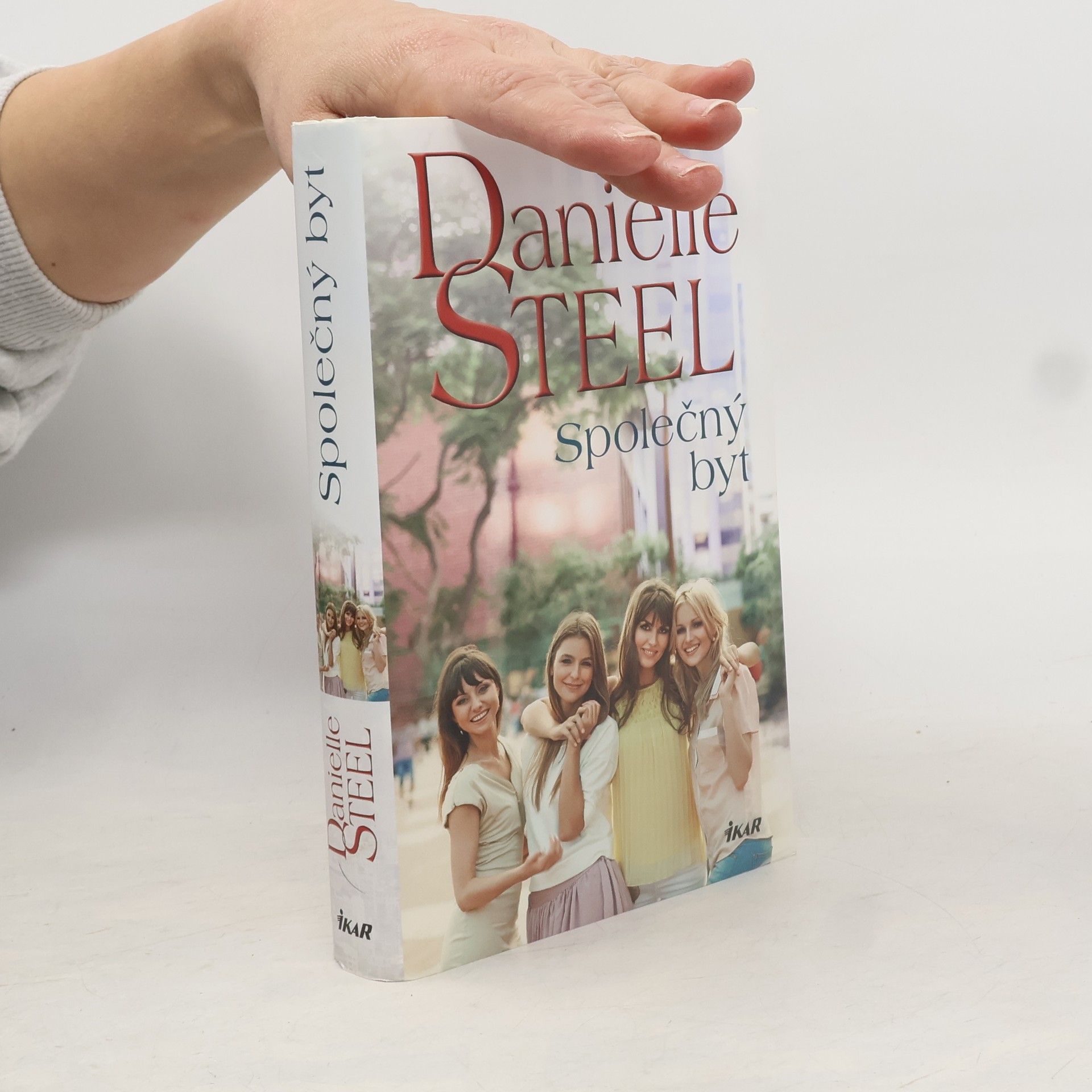 Danielle Steel Společný byt