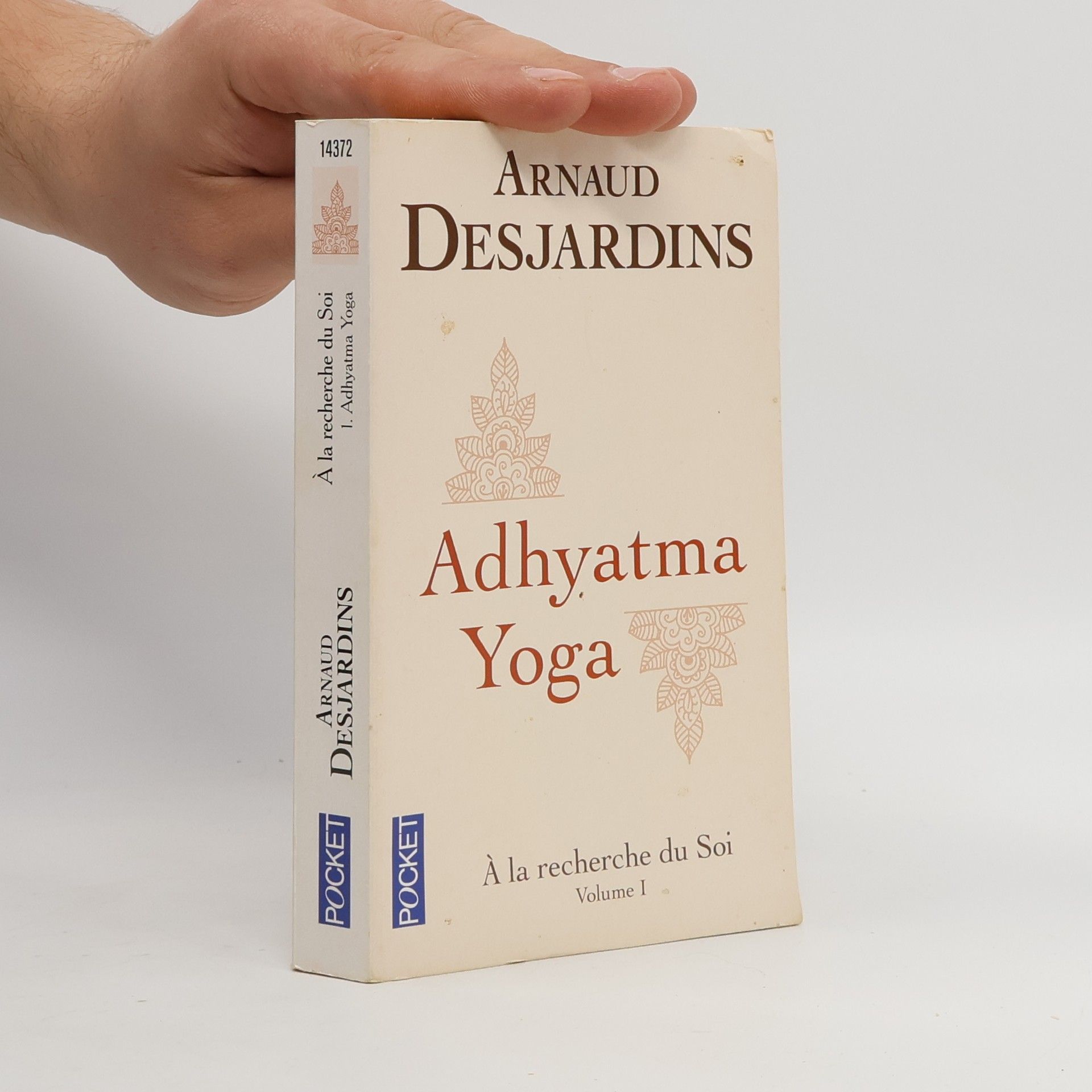 Arnaud Desjardins À la recherche du soi