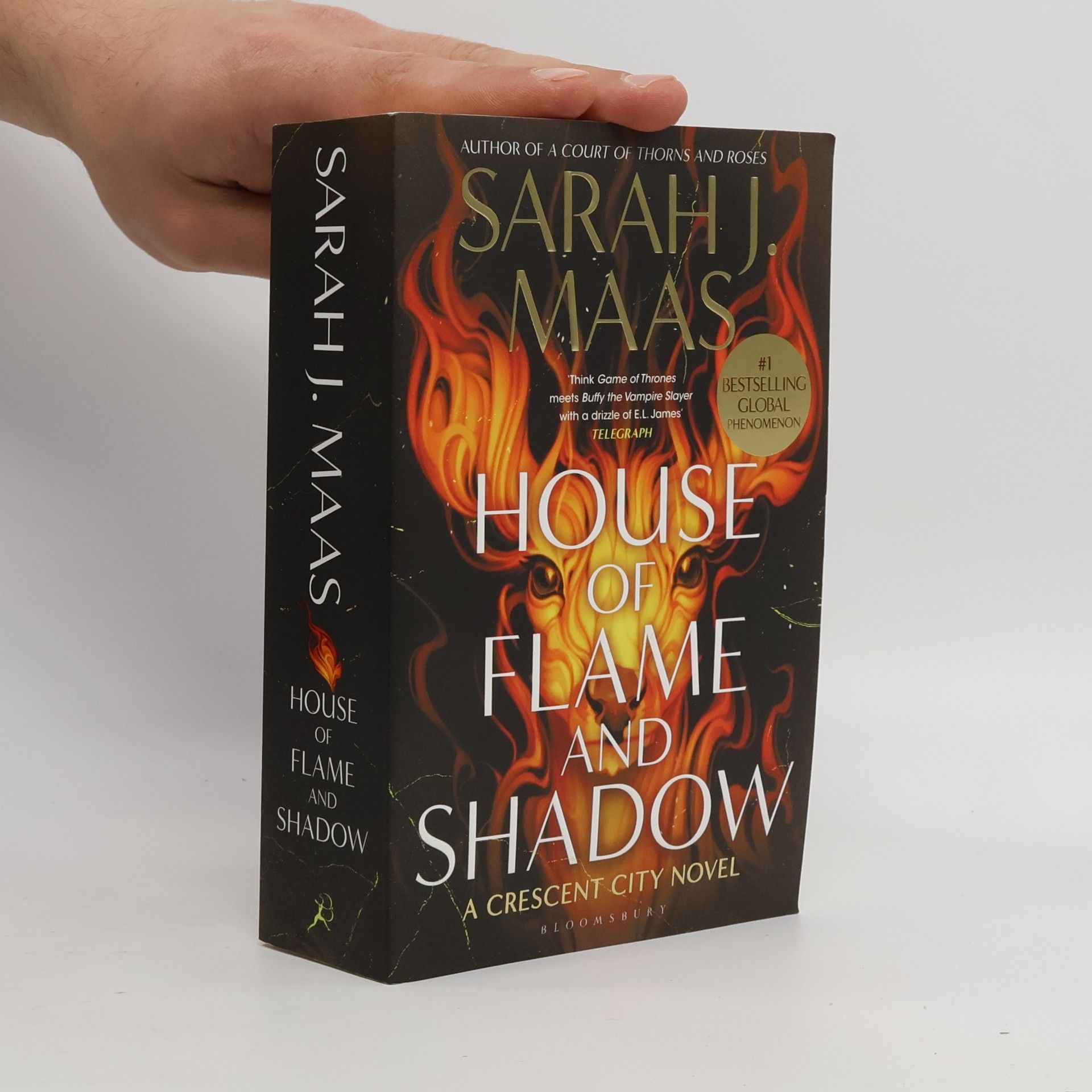 Sarah J. Maas Crescent City - 3: House of Flame and Shadow