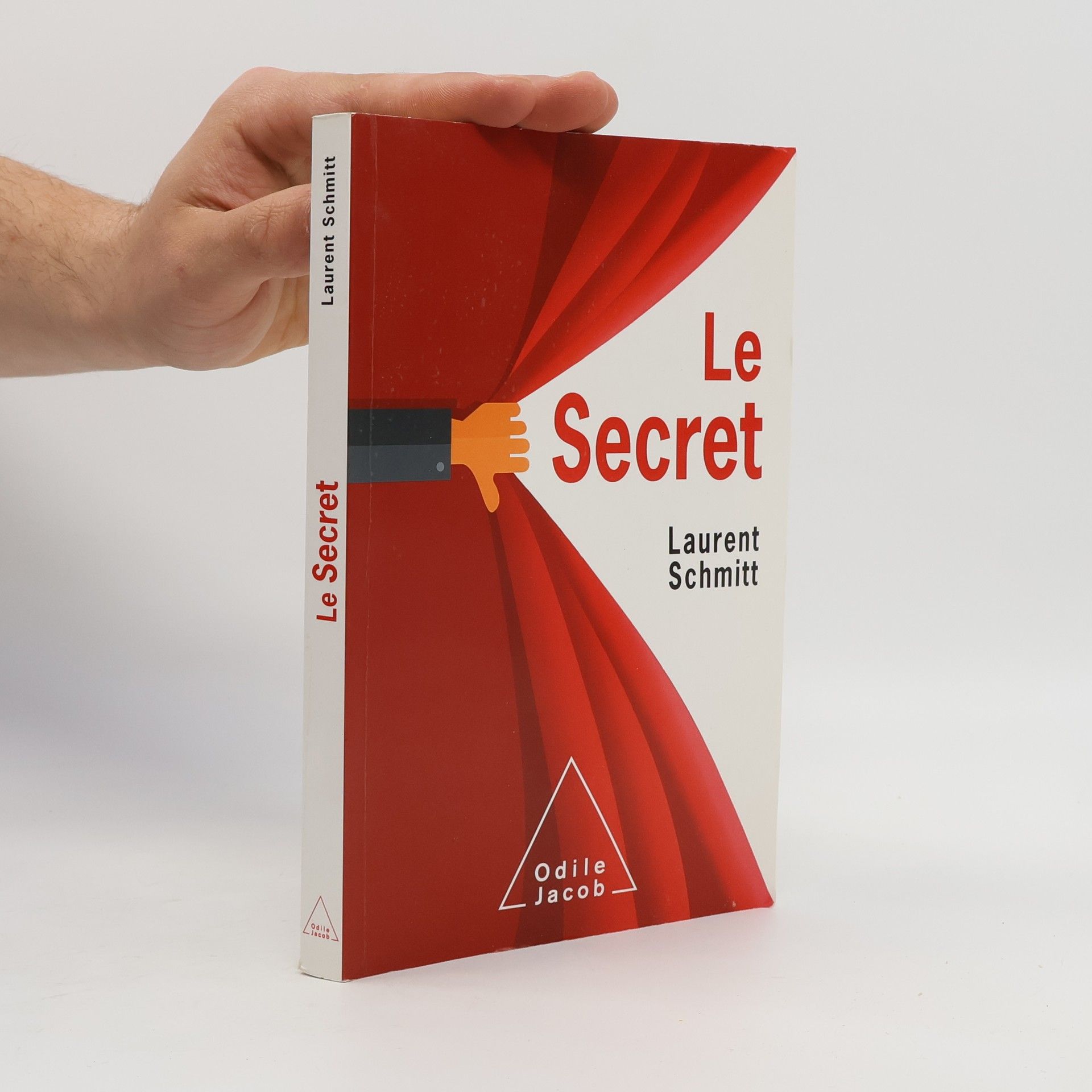 Laurent Schmitt Le secret