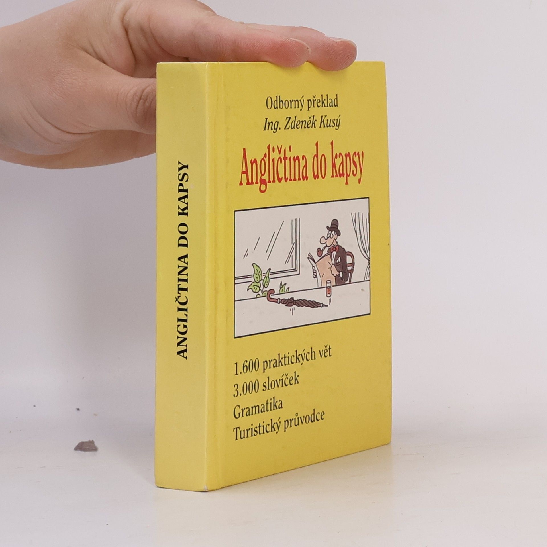 Angličtina do kapsy