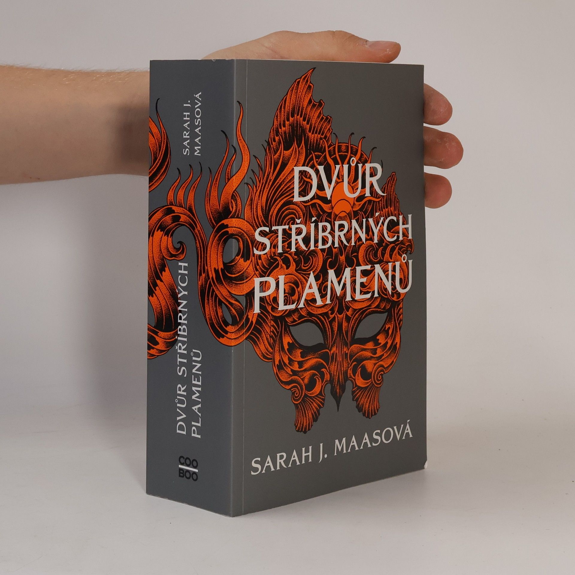 Sarah J. Maas Dvůr stříbrných plamenů