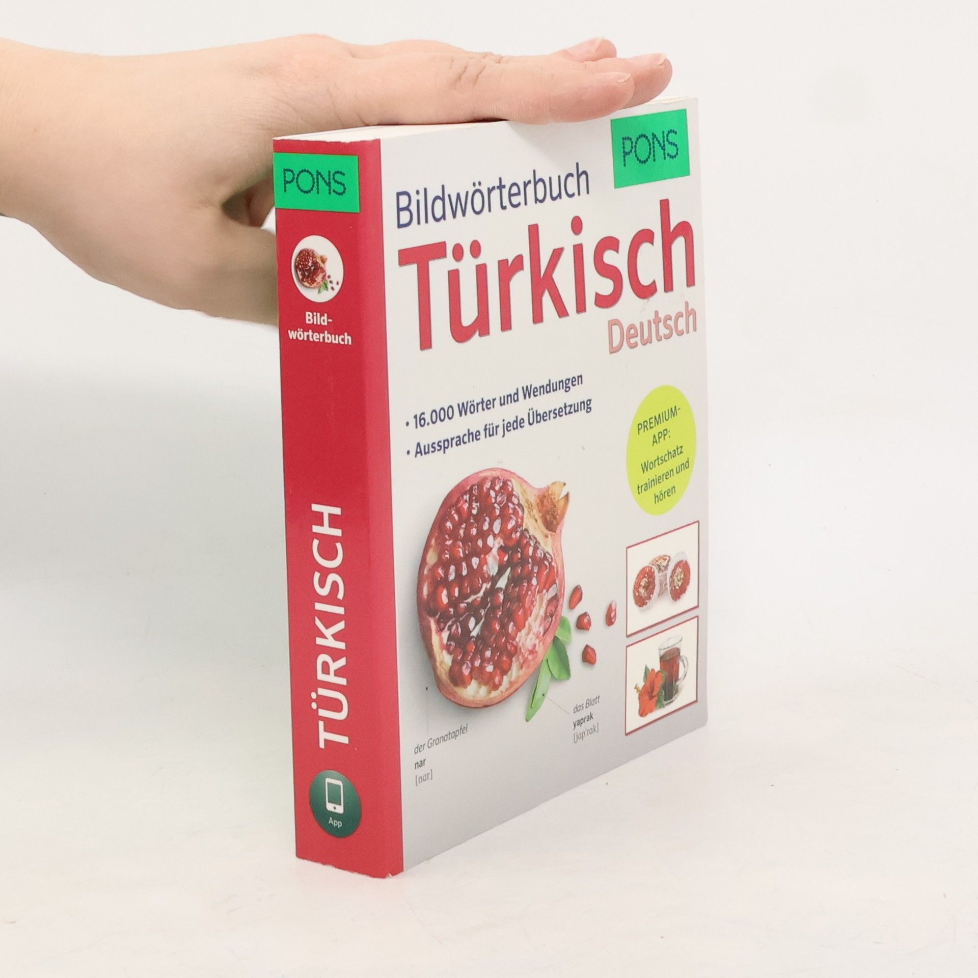 Anette Dralle PONS Bildwörterbuch Türkisch Deutsch