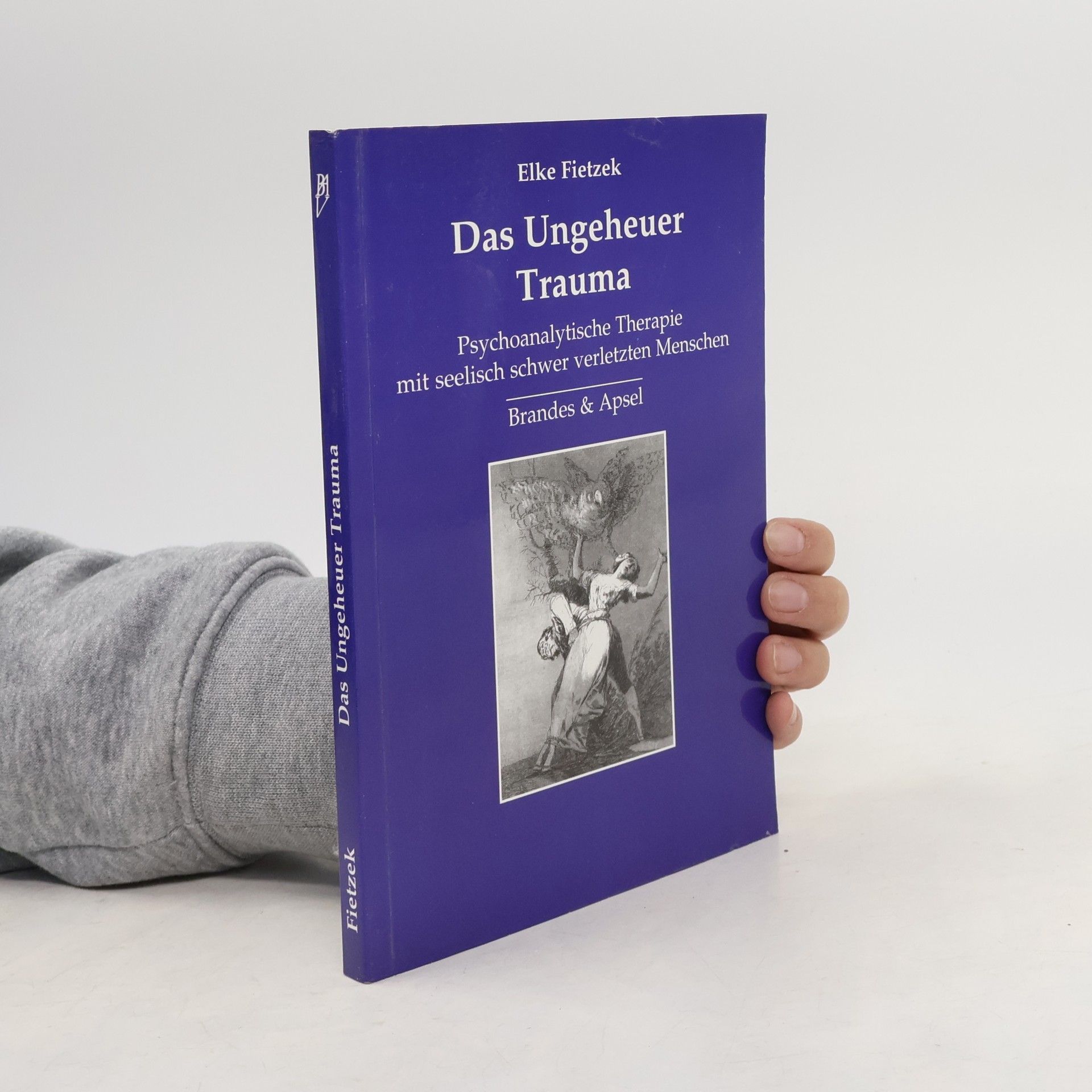 Elke Fietzek Das Ungeheuer Trauma