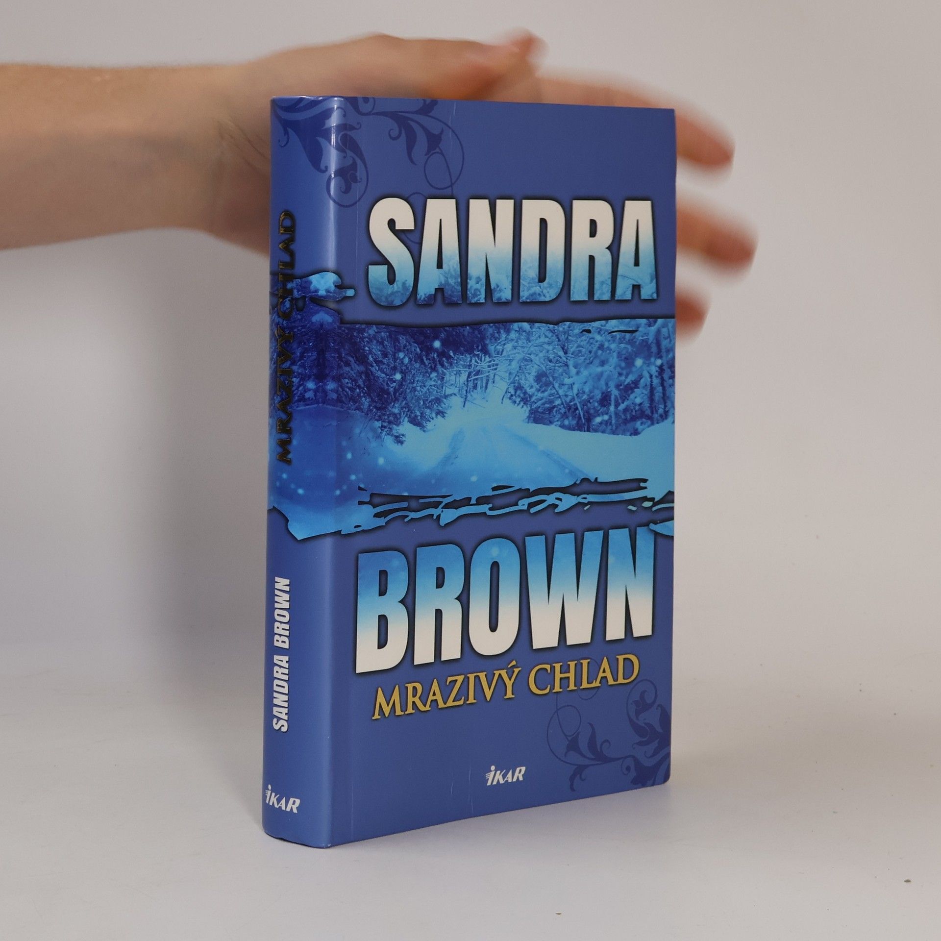 Sandra Brown Mrazivý chlad