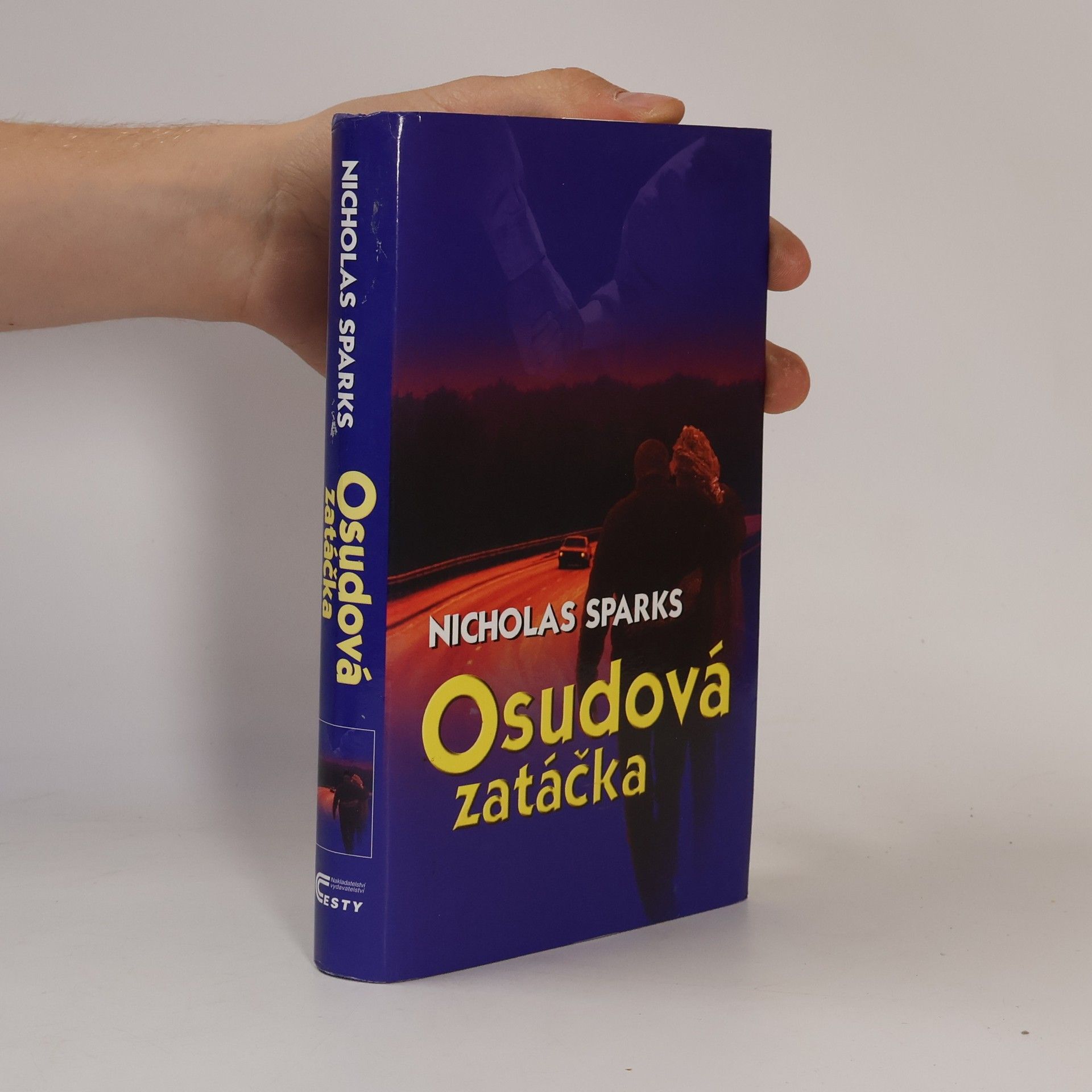 Nicholas Sparks Osudová zatáčka