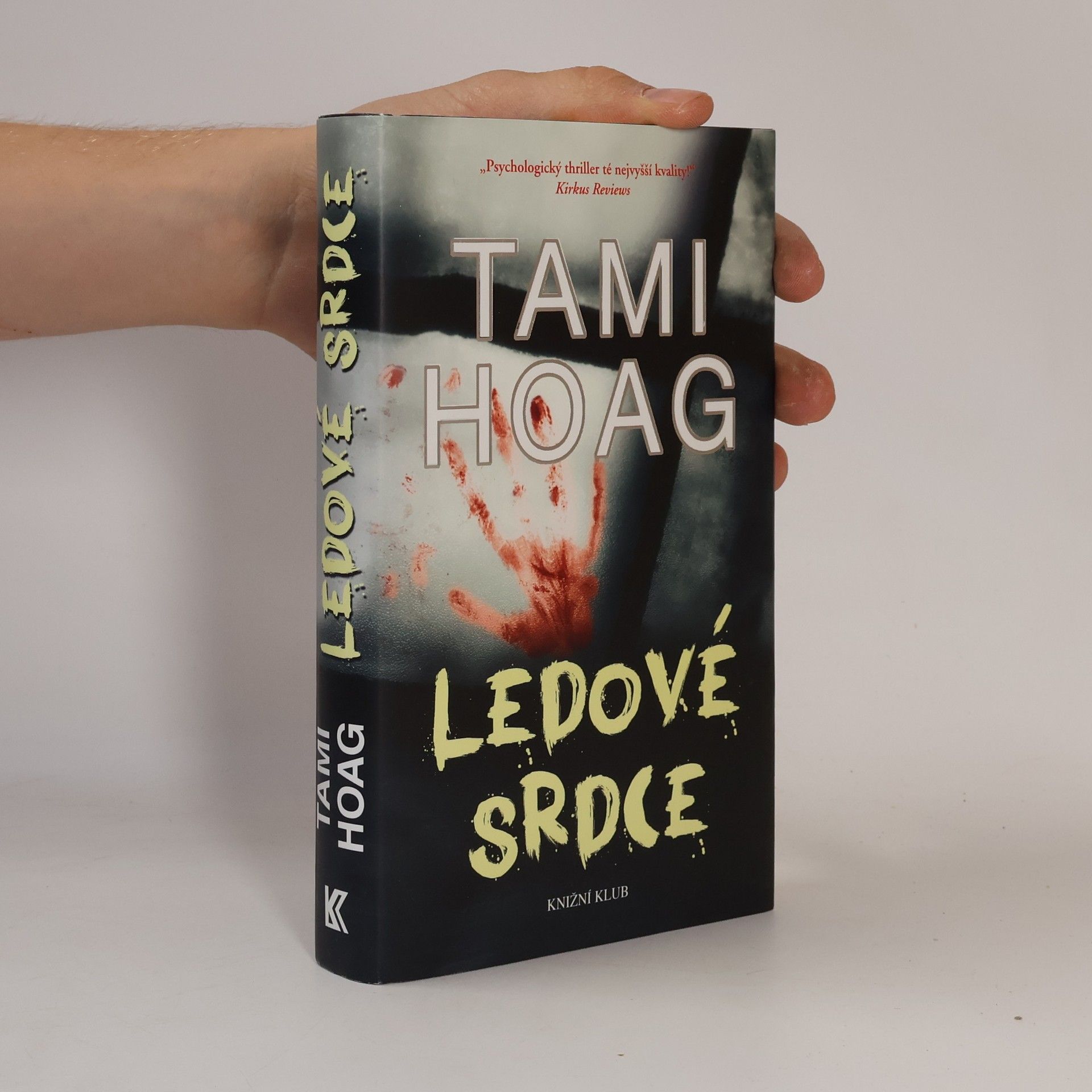 Tami Hoag Ledové srdce