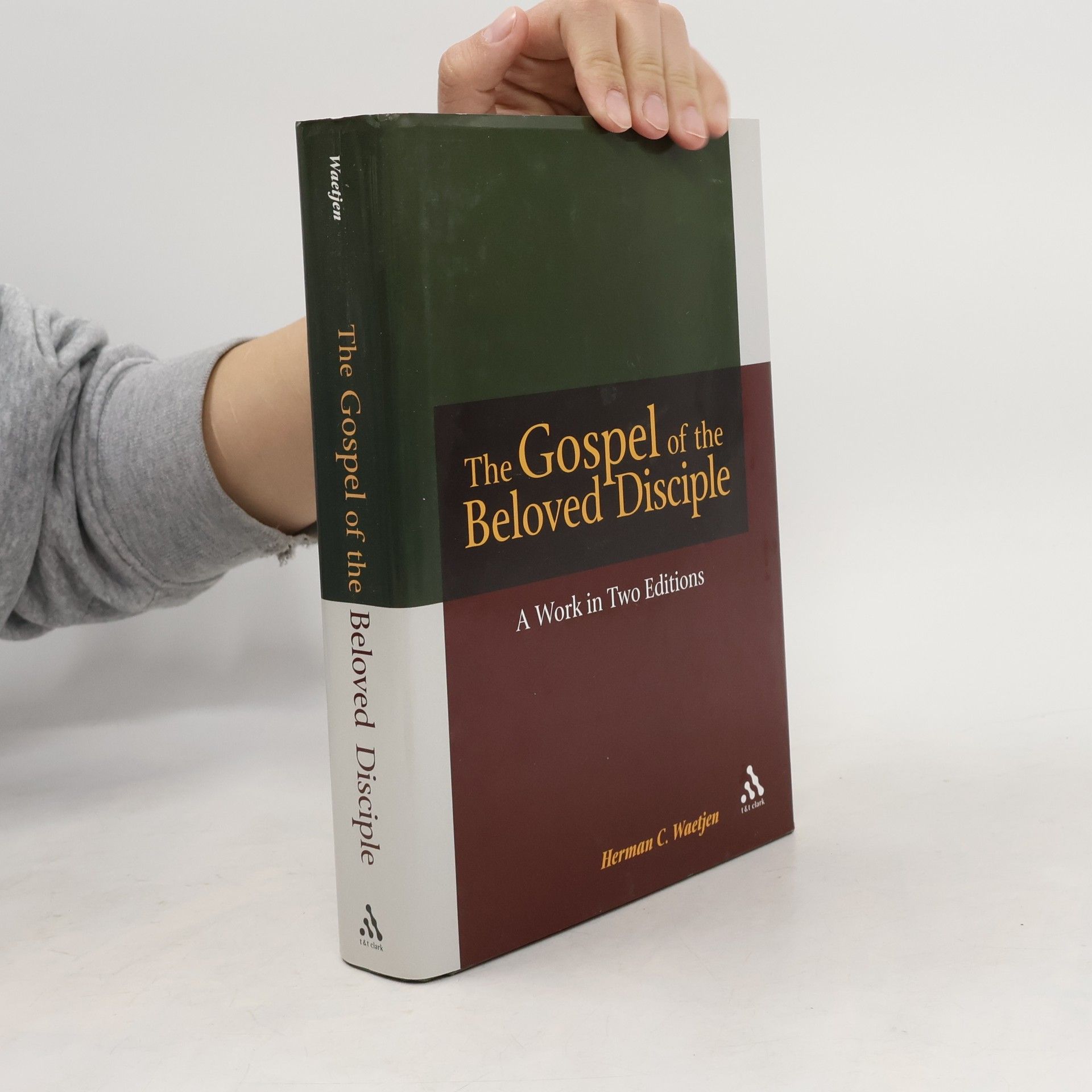 Herman C Waetjen The Gospel of the Beloved Disciple