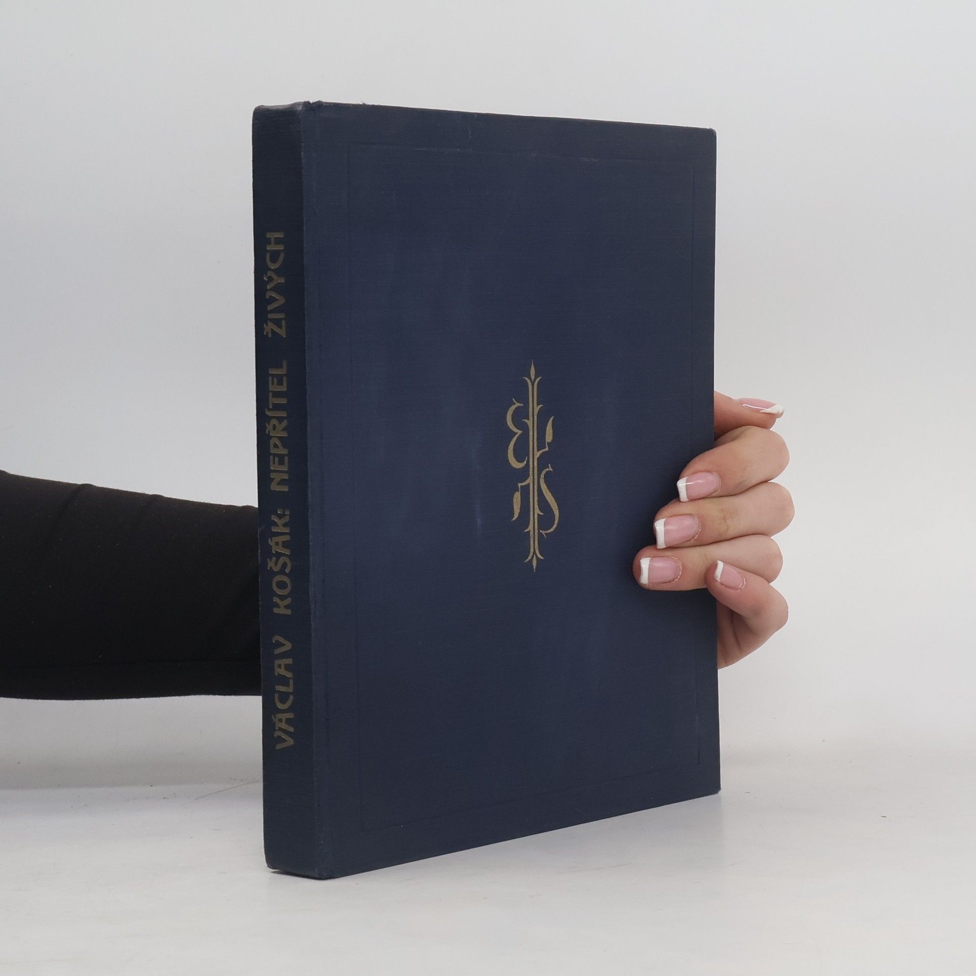 Václav Košák Nepřítel živých