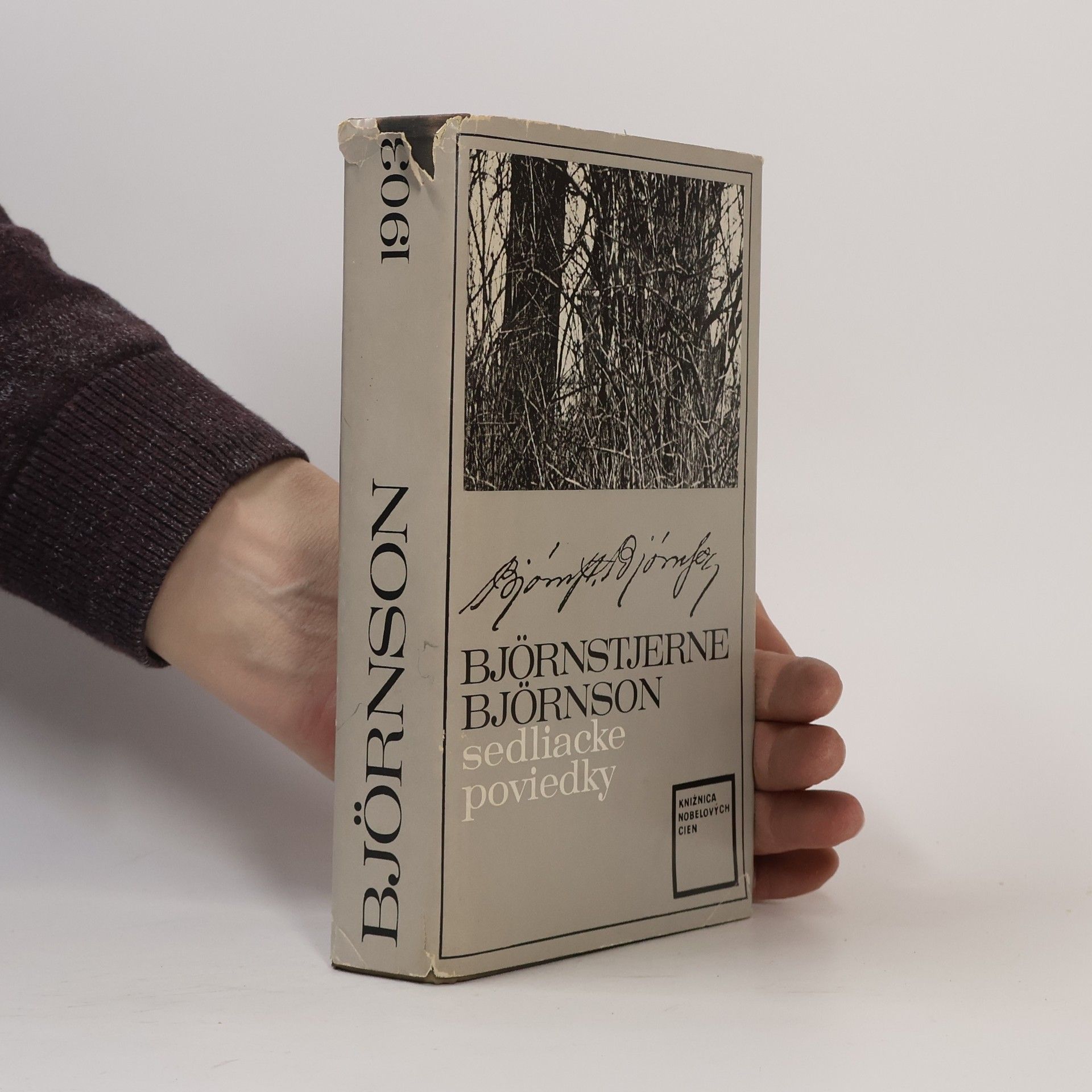 Bjørnstjerne Bjørnson Sedliacke poviedky