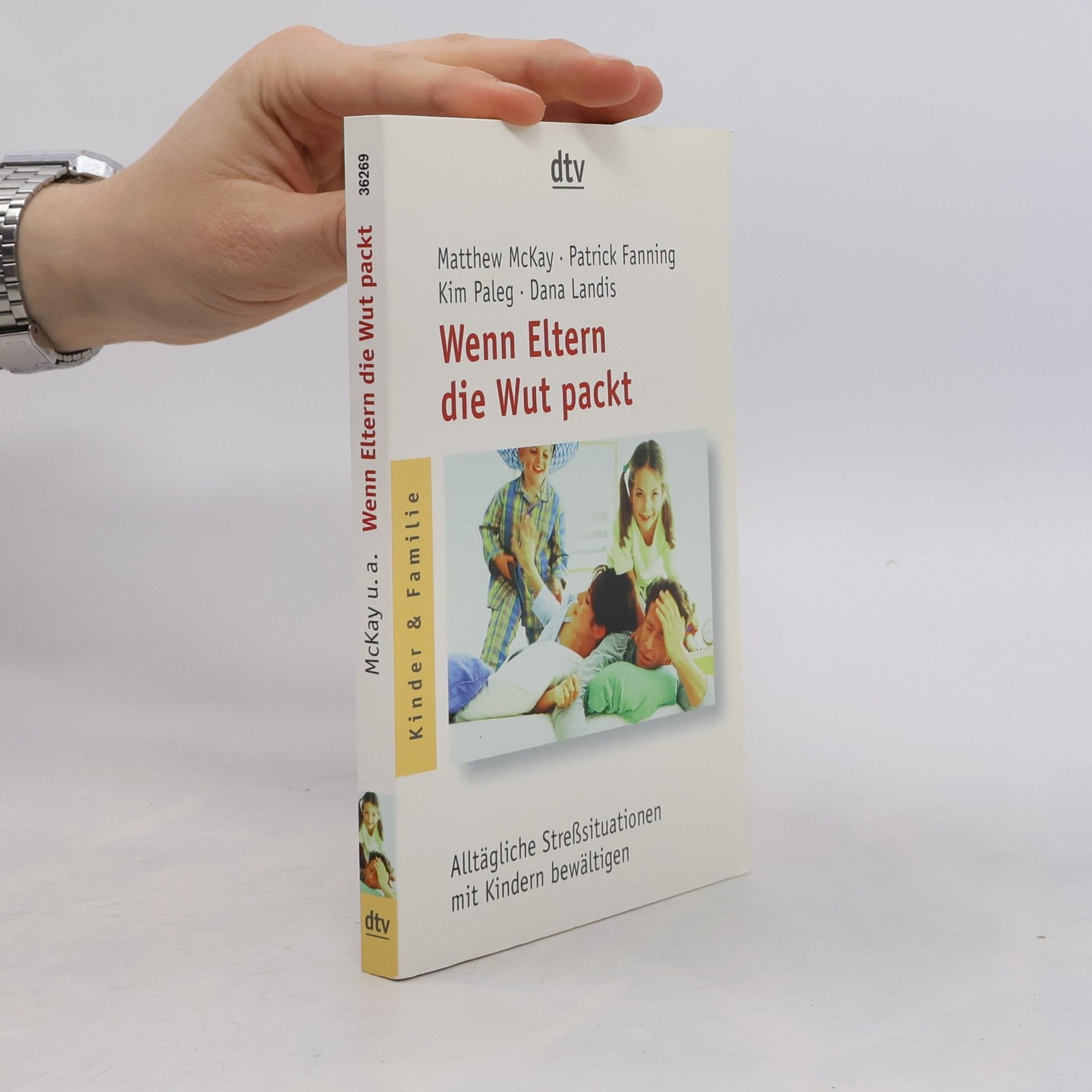 Matthew McKay Wenn Eltern die Wut packt