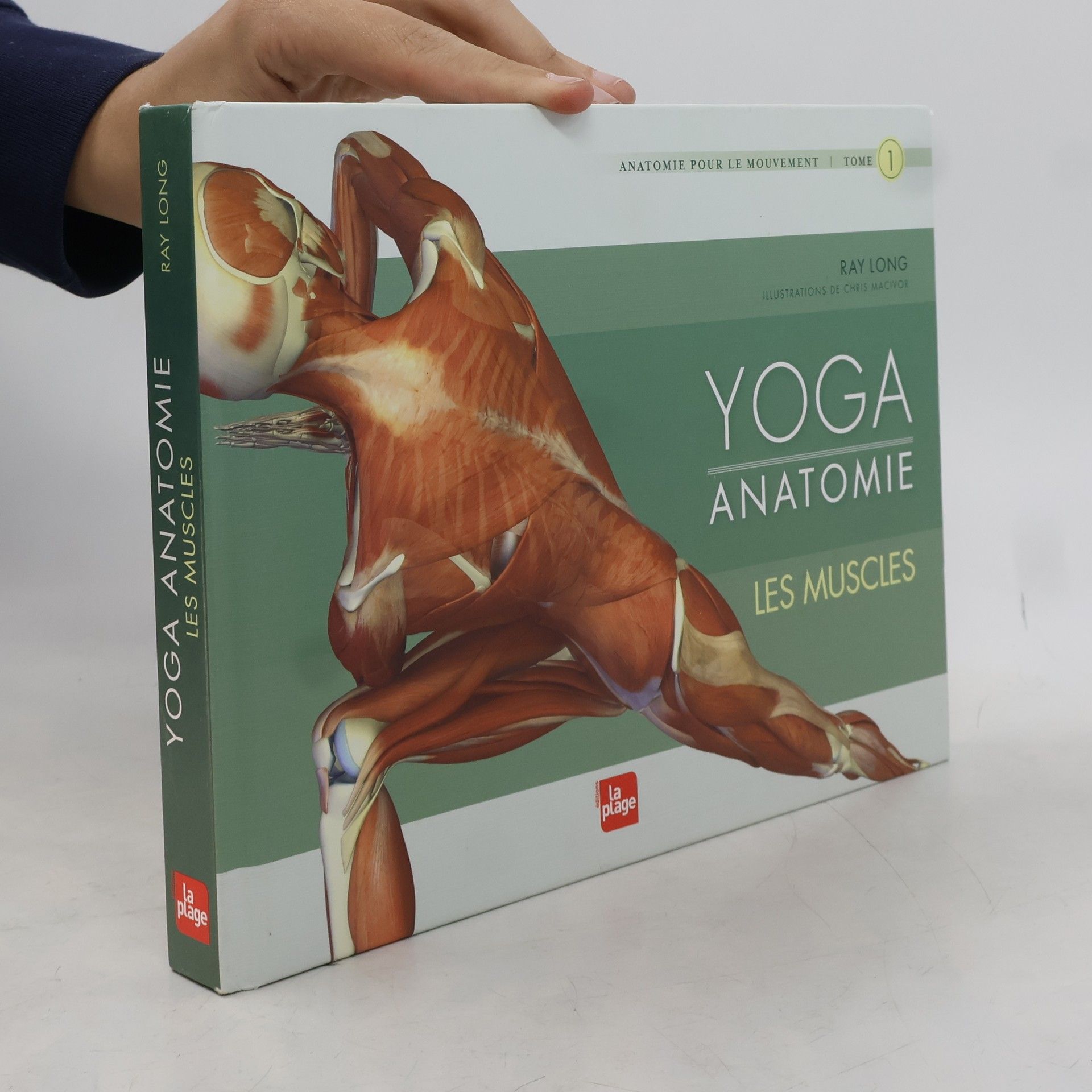 Anatomie pour le mouvement - 1: Yoga anatomie - Les muscles