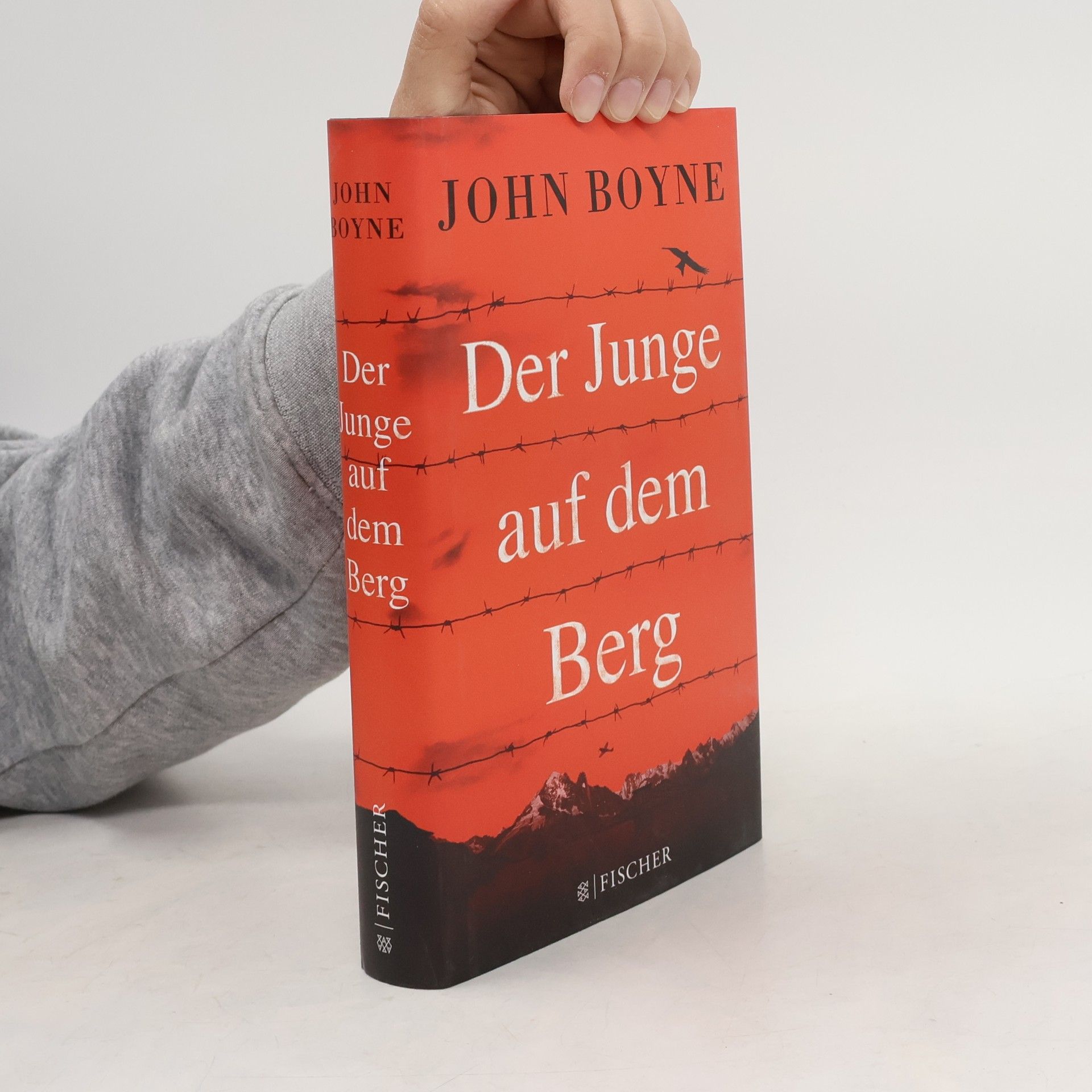 John Boyne Der Junge auf dem Berg
