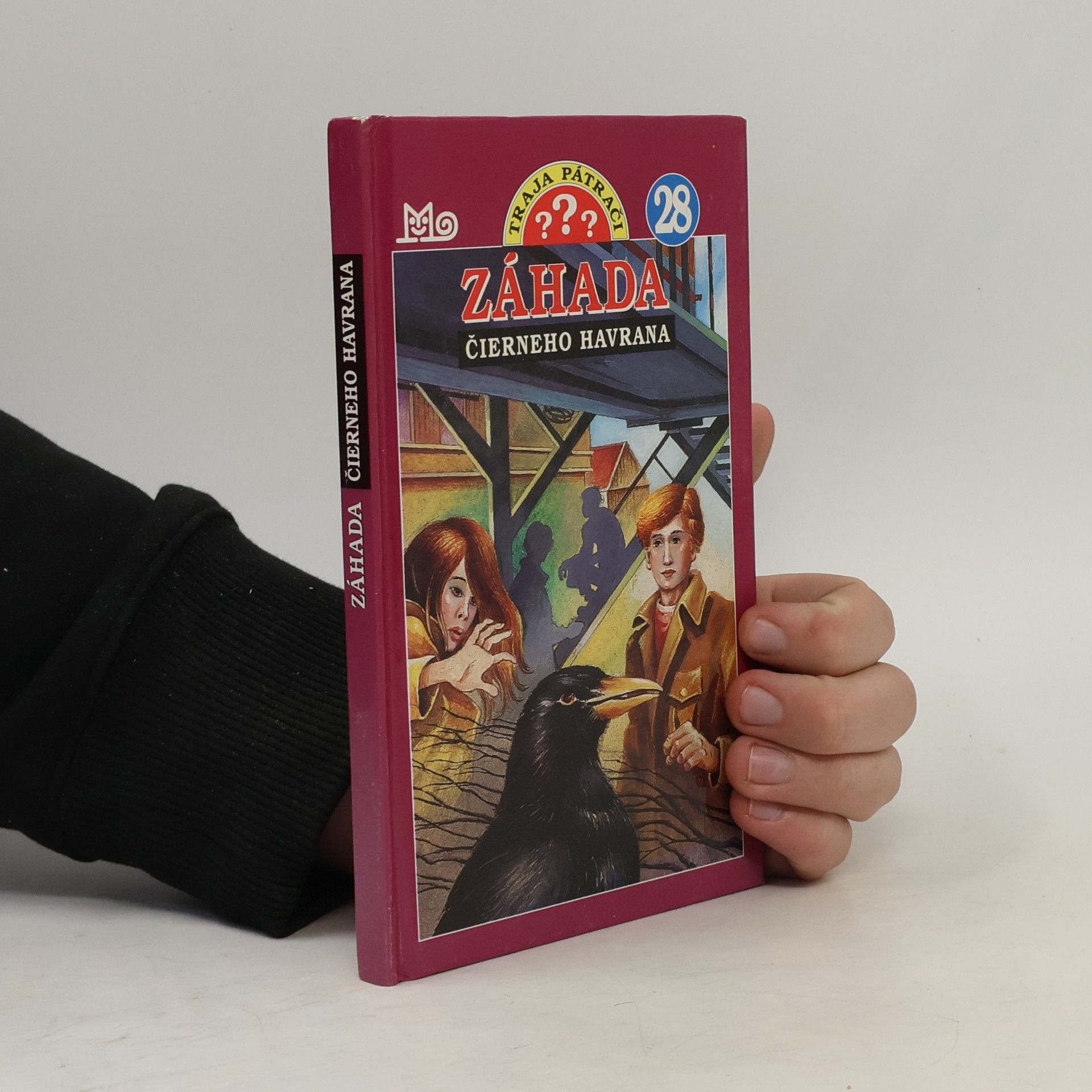 André Marx Záhada čierneho havrana