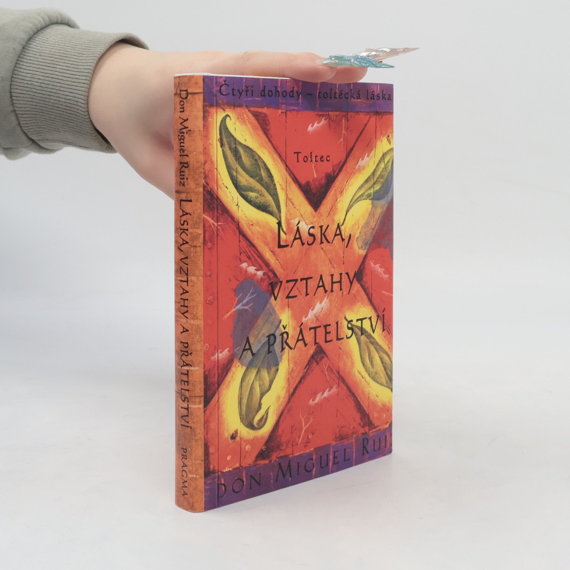 Don Miguel Ruiz Láska, vztahy a přátelství