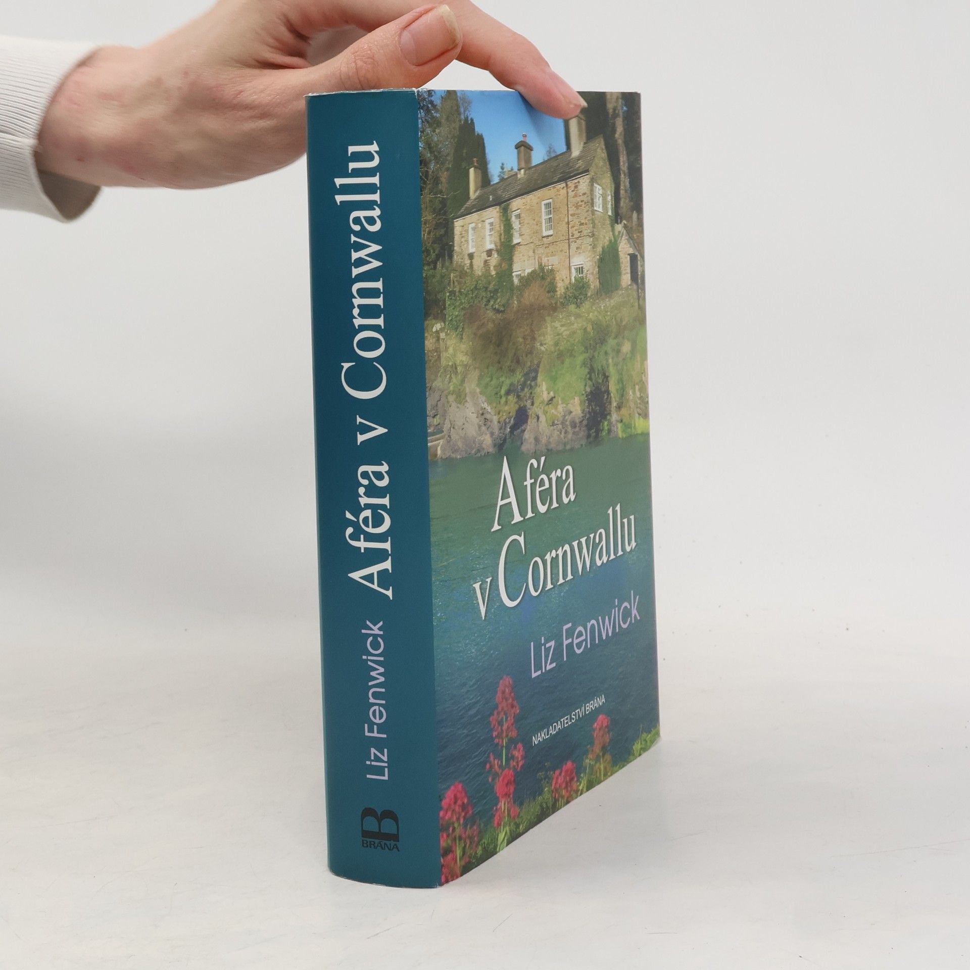 Liz Fenwick Aféra v Cornwallu