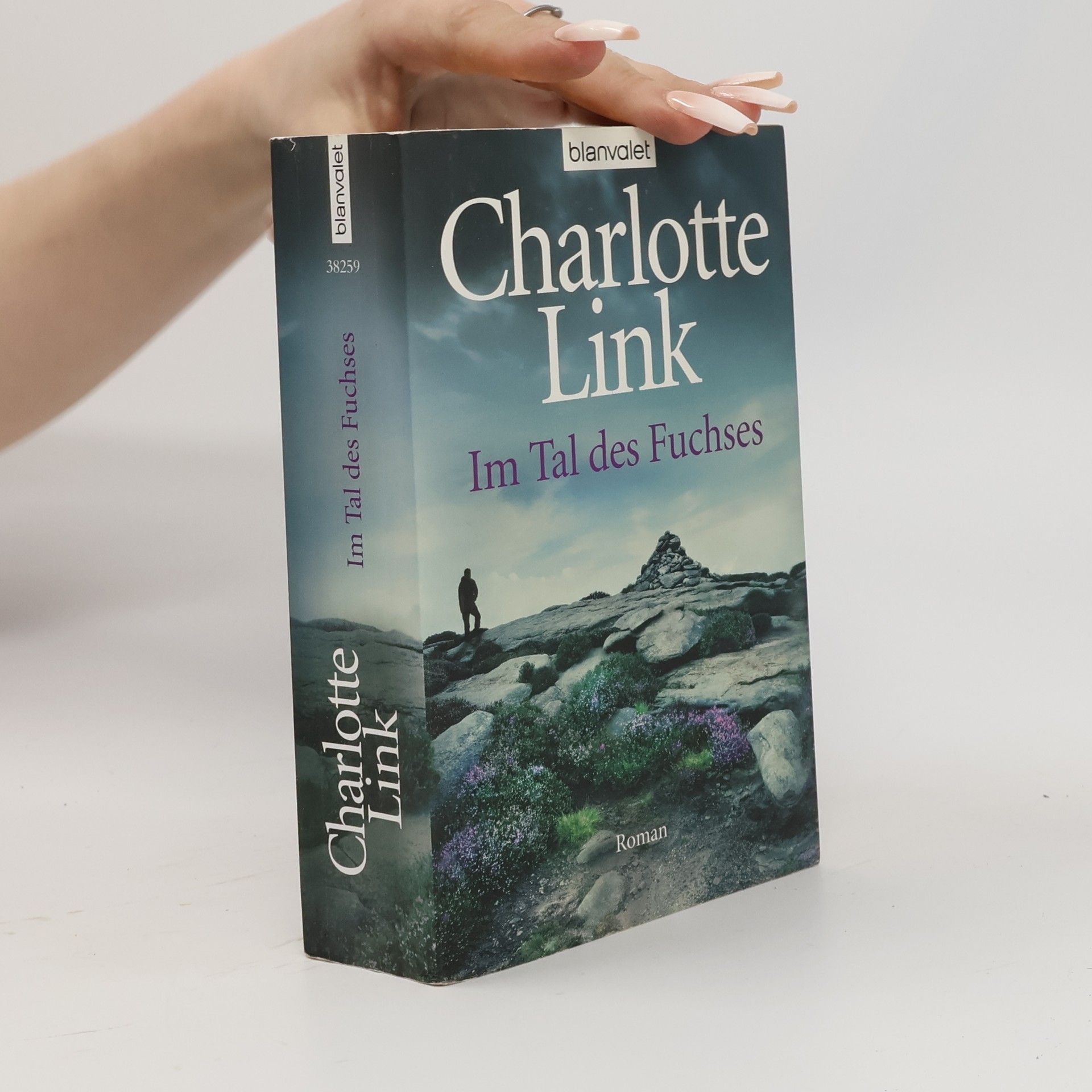 Charlotte Link Im Tal des Fuchses