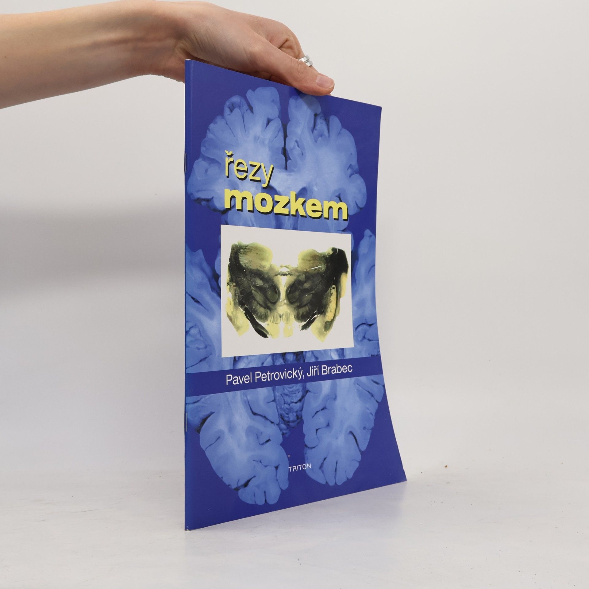 Pavel Petrovický Řezy mozkem