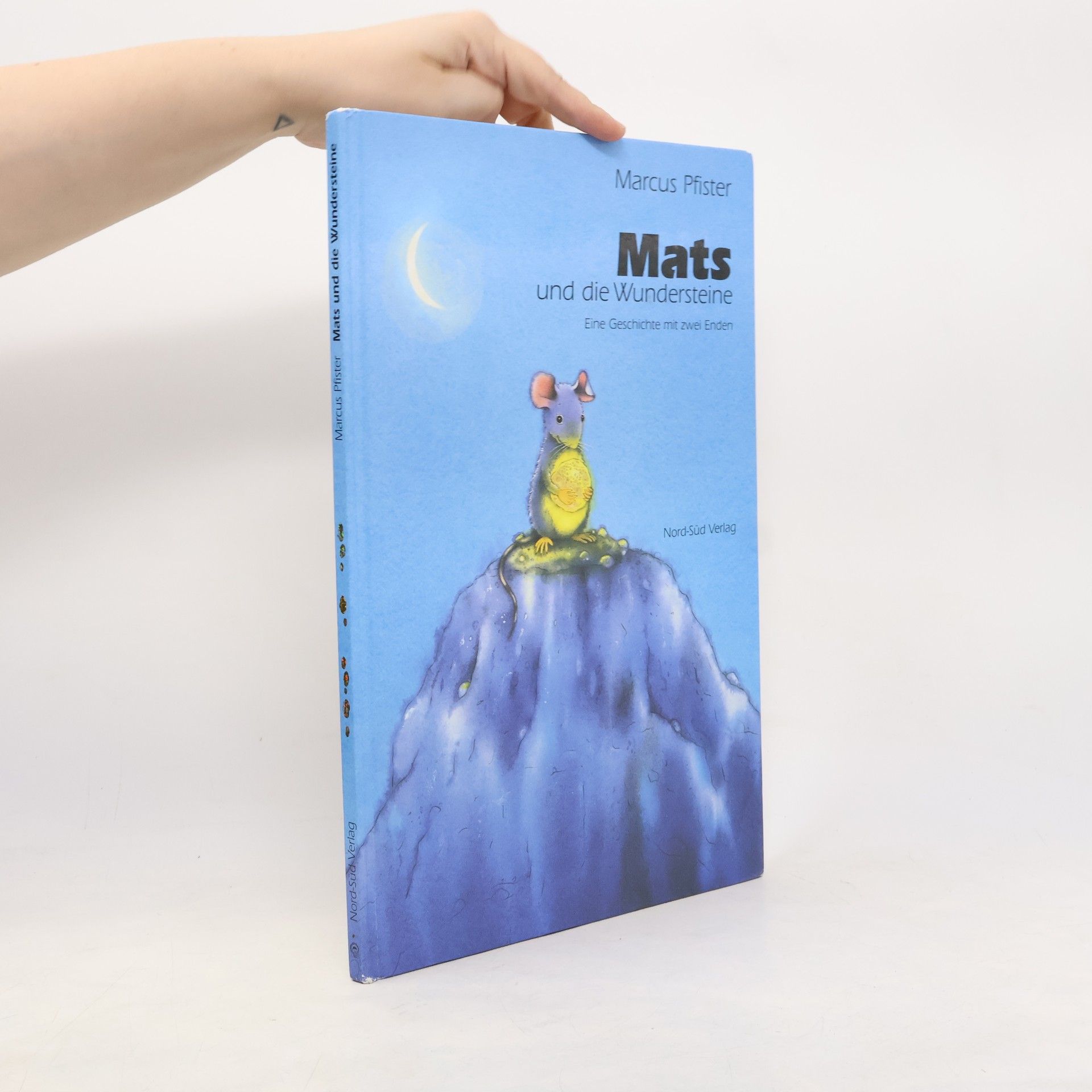 Marcus Pfister Mats und die Wundersteine