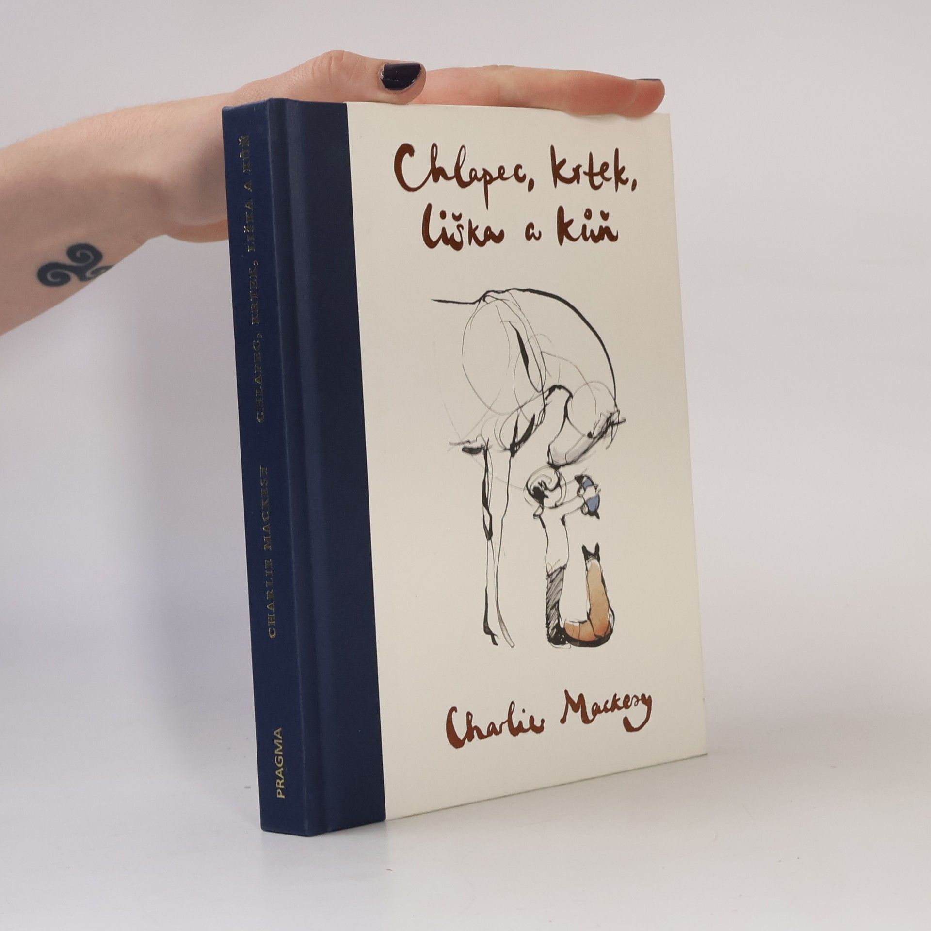 Chlapec, krtek, liška a kůň