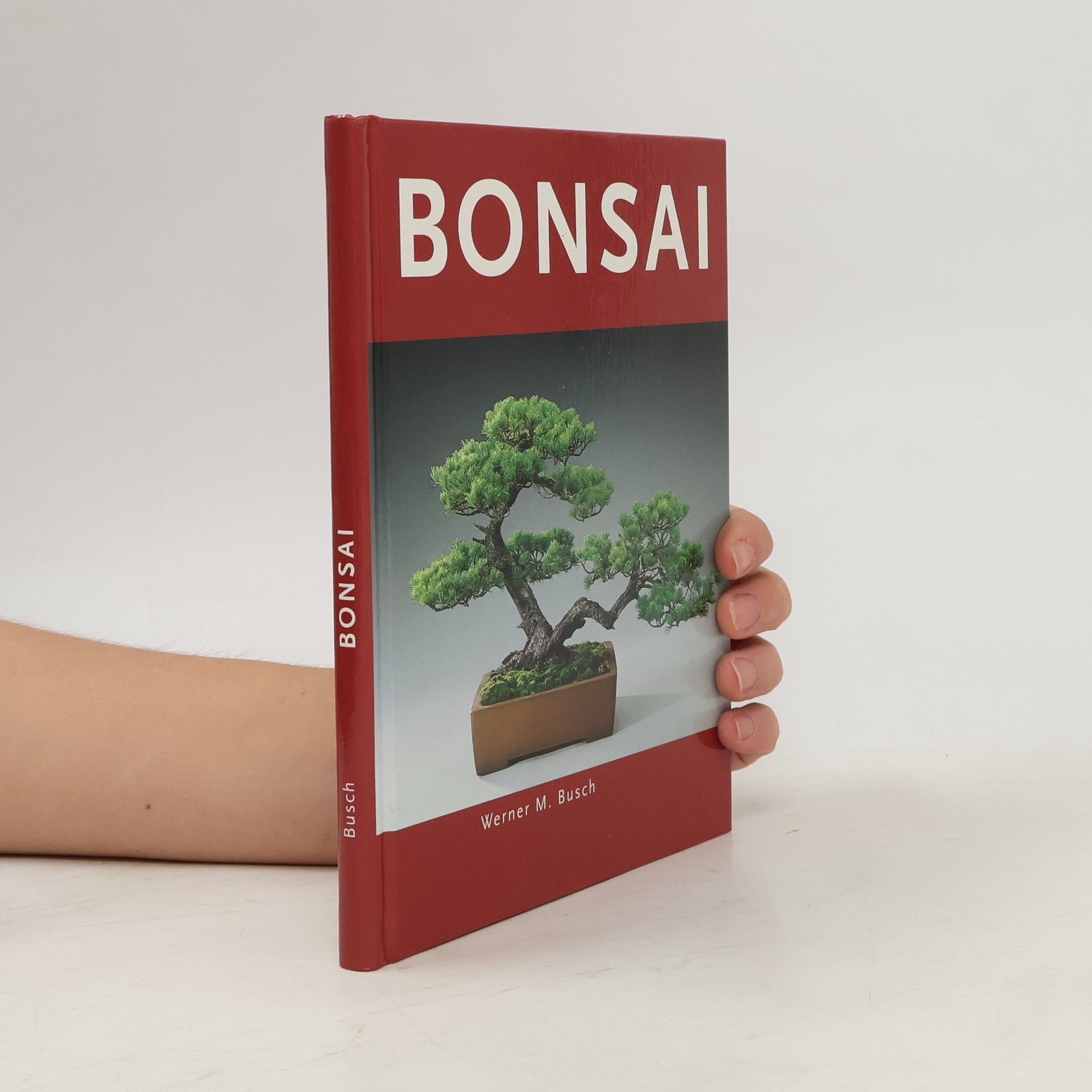 Autorenkollektiv Bonsai