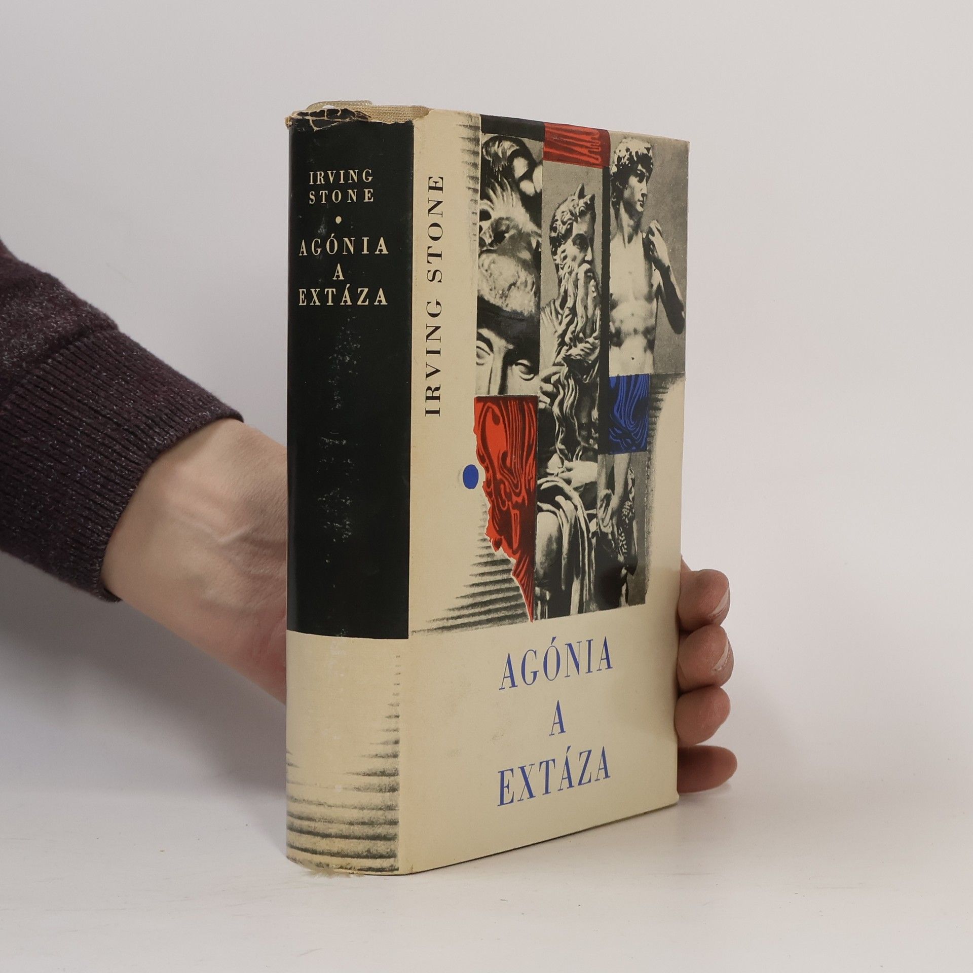 Irving Stone Agónia a extáza