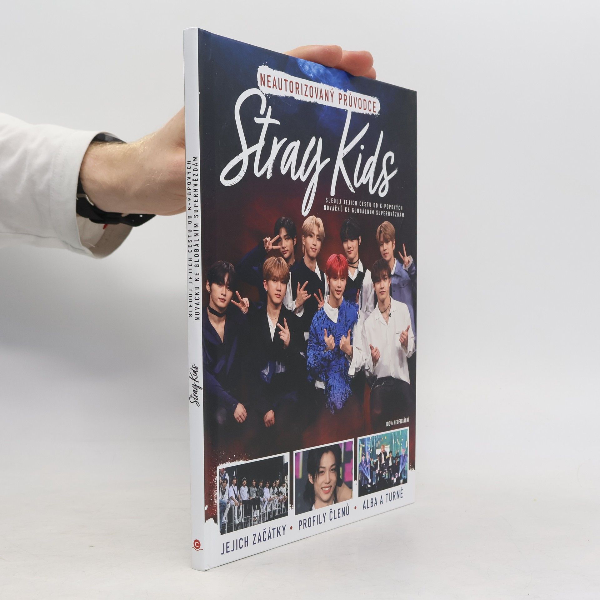 Autorenkollektiv Stray Kids