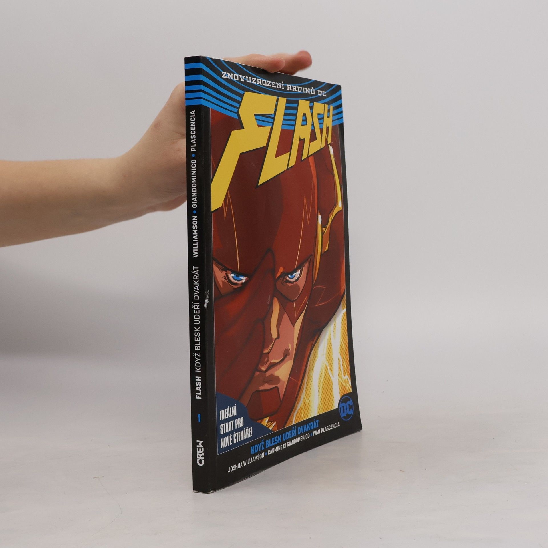 Flash. Kniha první: Když blesk udeří dvakrát
