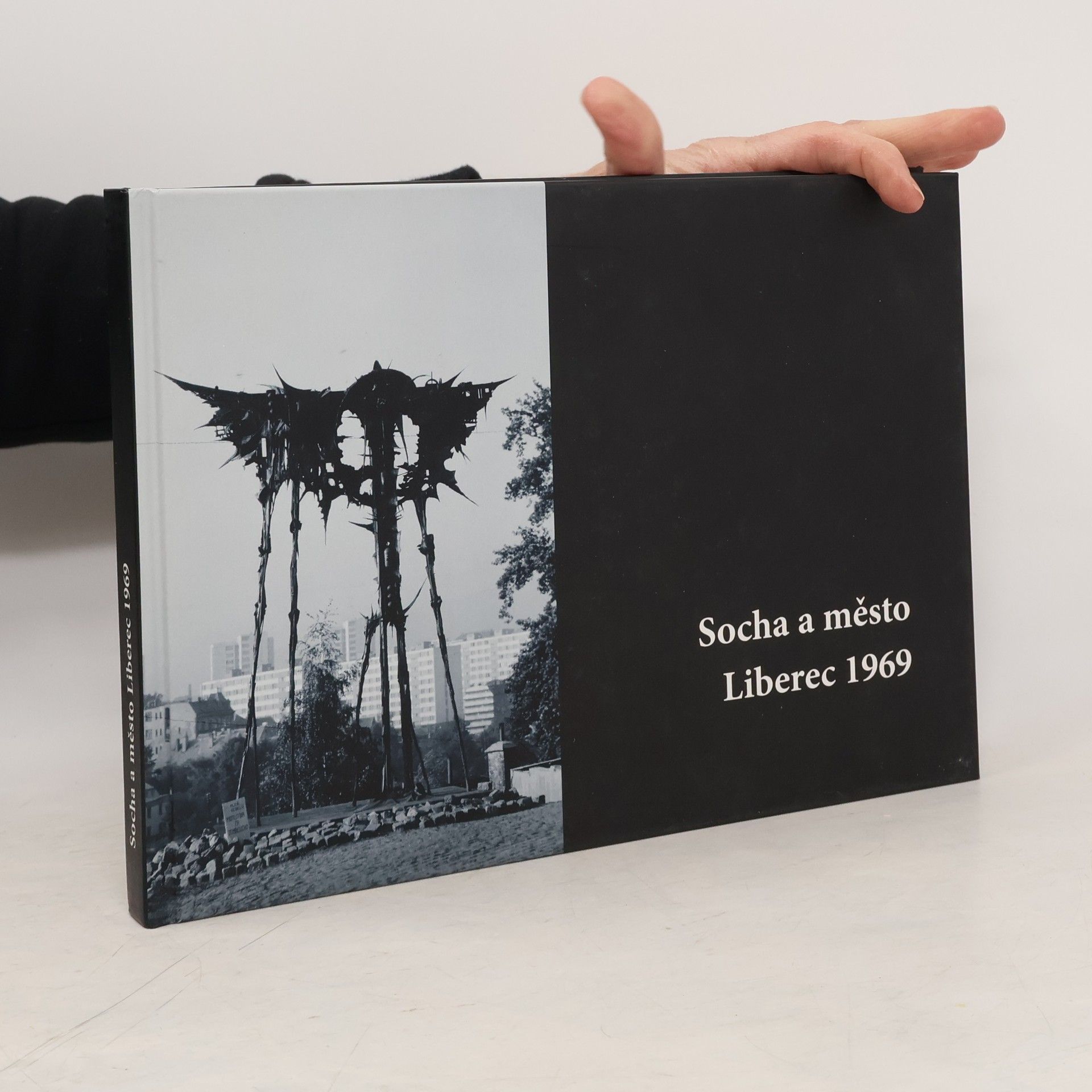 Hana Seifertová Socha a město Liberec 1969