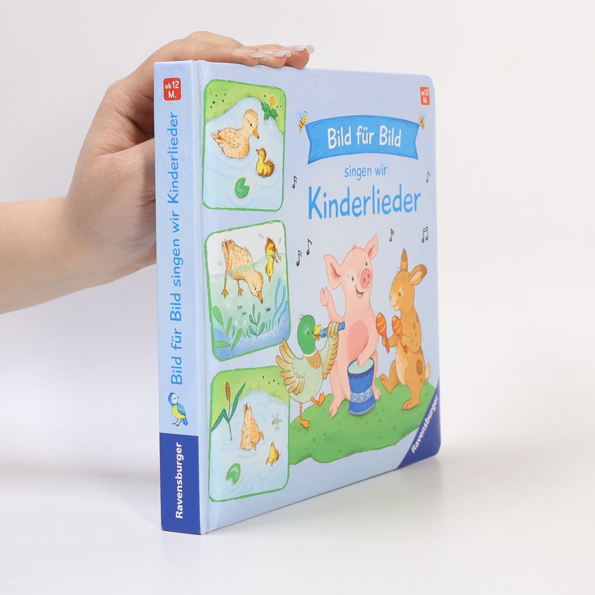 Nora Paehl Bild für Bild singen wir Kinderlieder