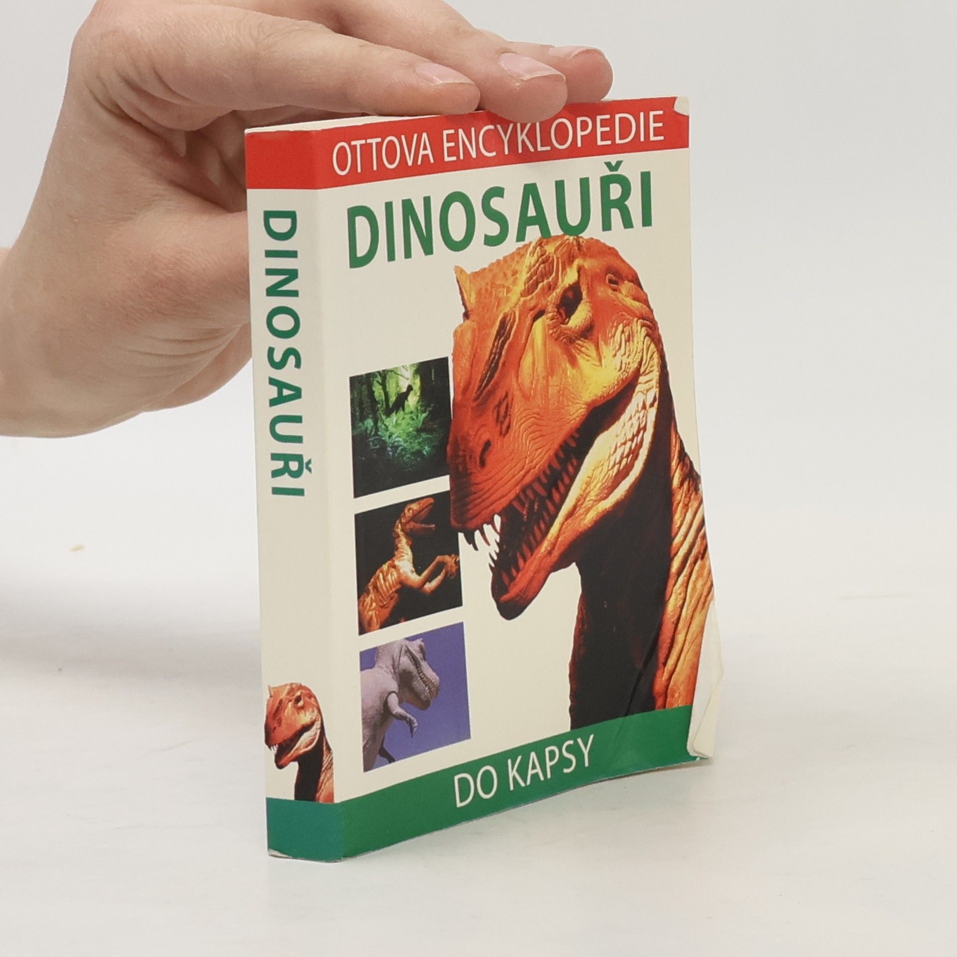 David Lambert Dinosauři