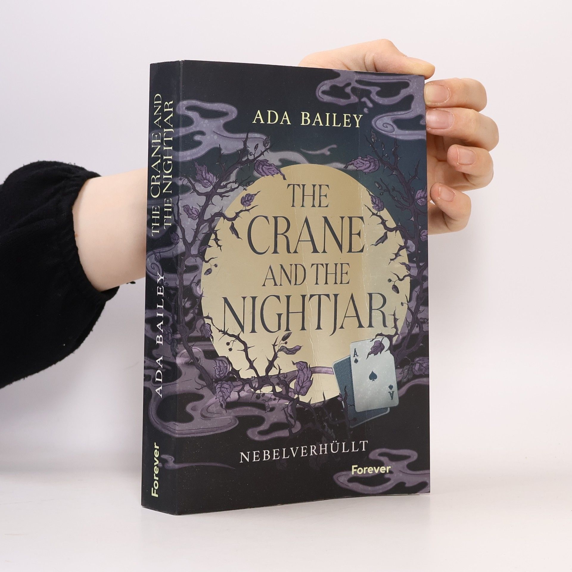 Ada Bailey The Crane and the Nightjar