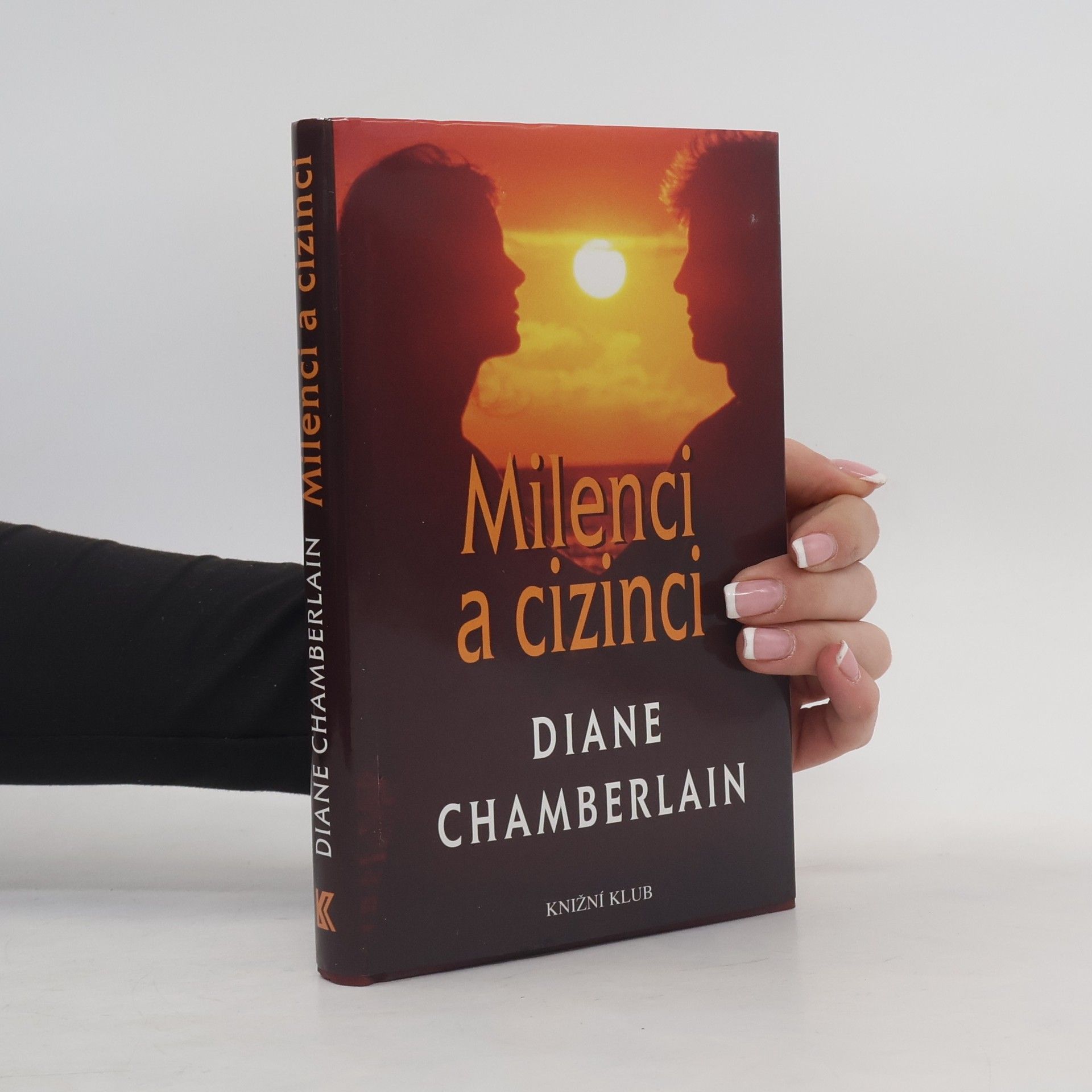 Diane Chamberlain Milenci a cizinci