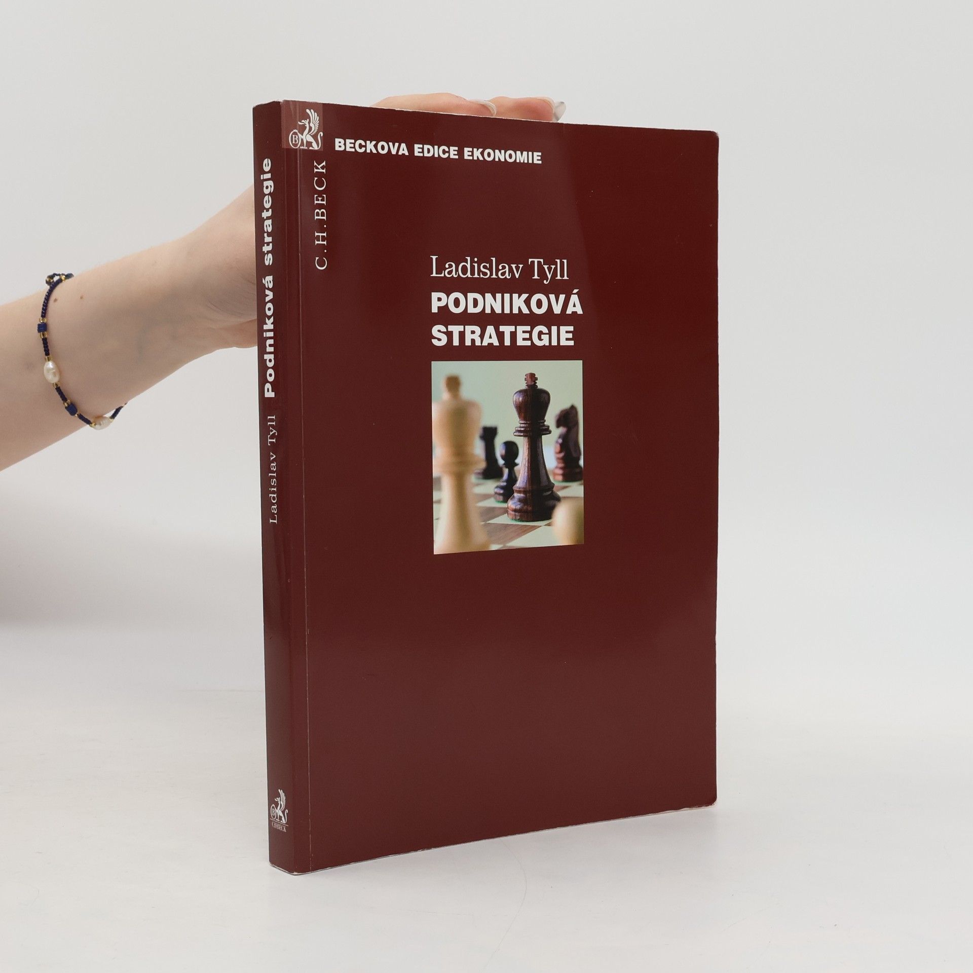 Ladislav Tyll Podniková strategie