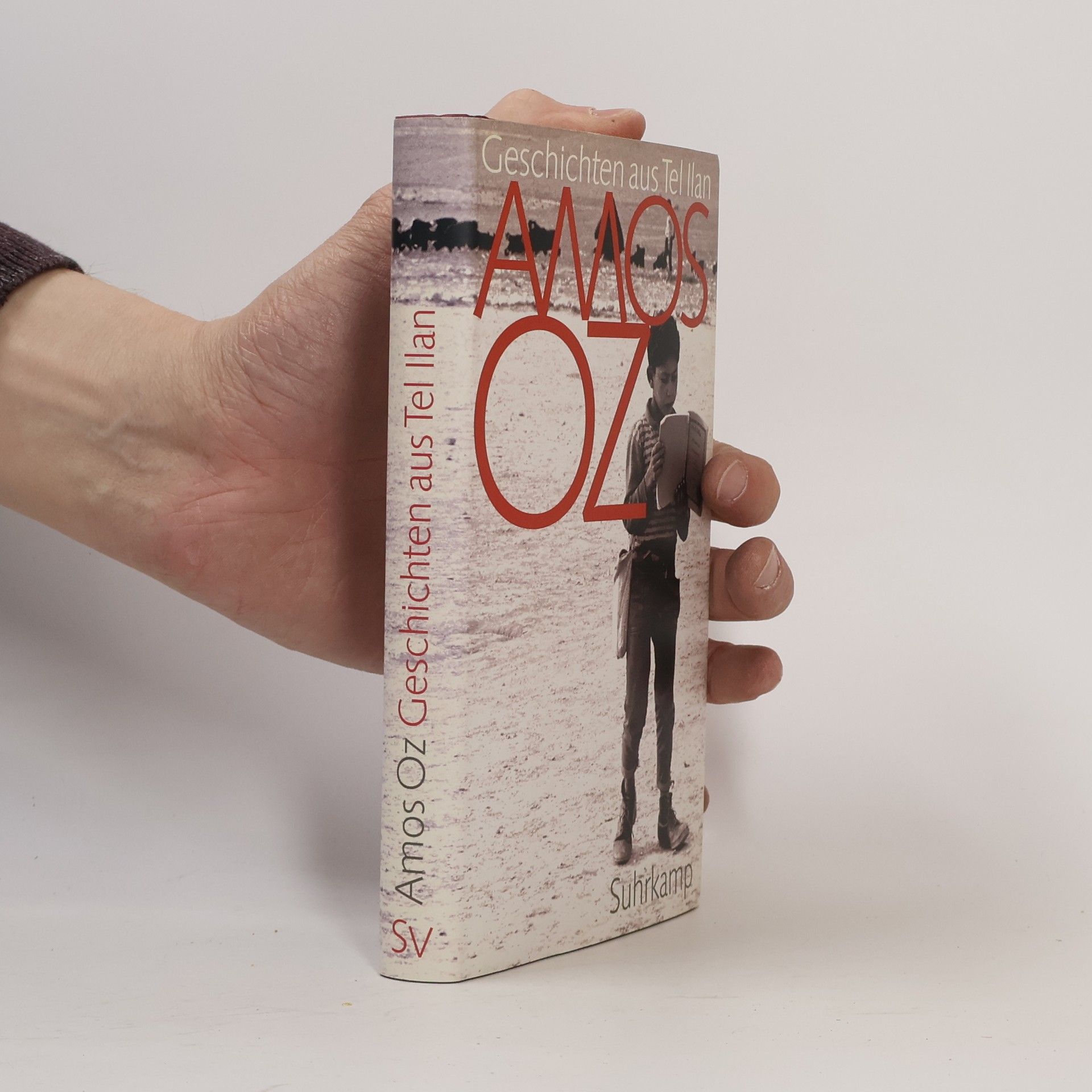 Amos Oz Geschichten aus Tel Ilan