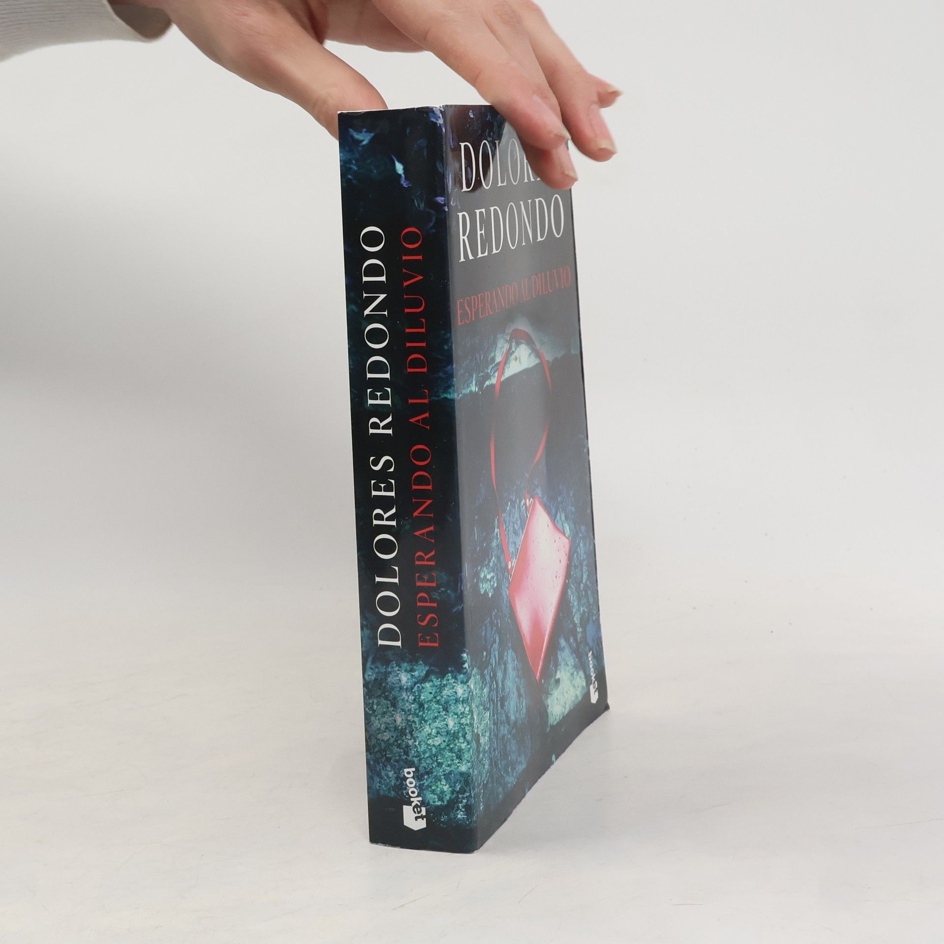 Dolores Redondo Esperando al diluvio