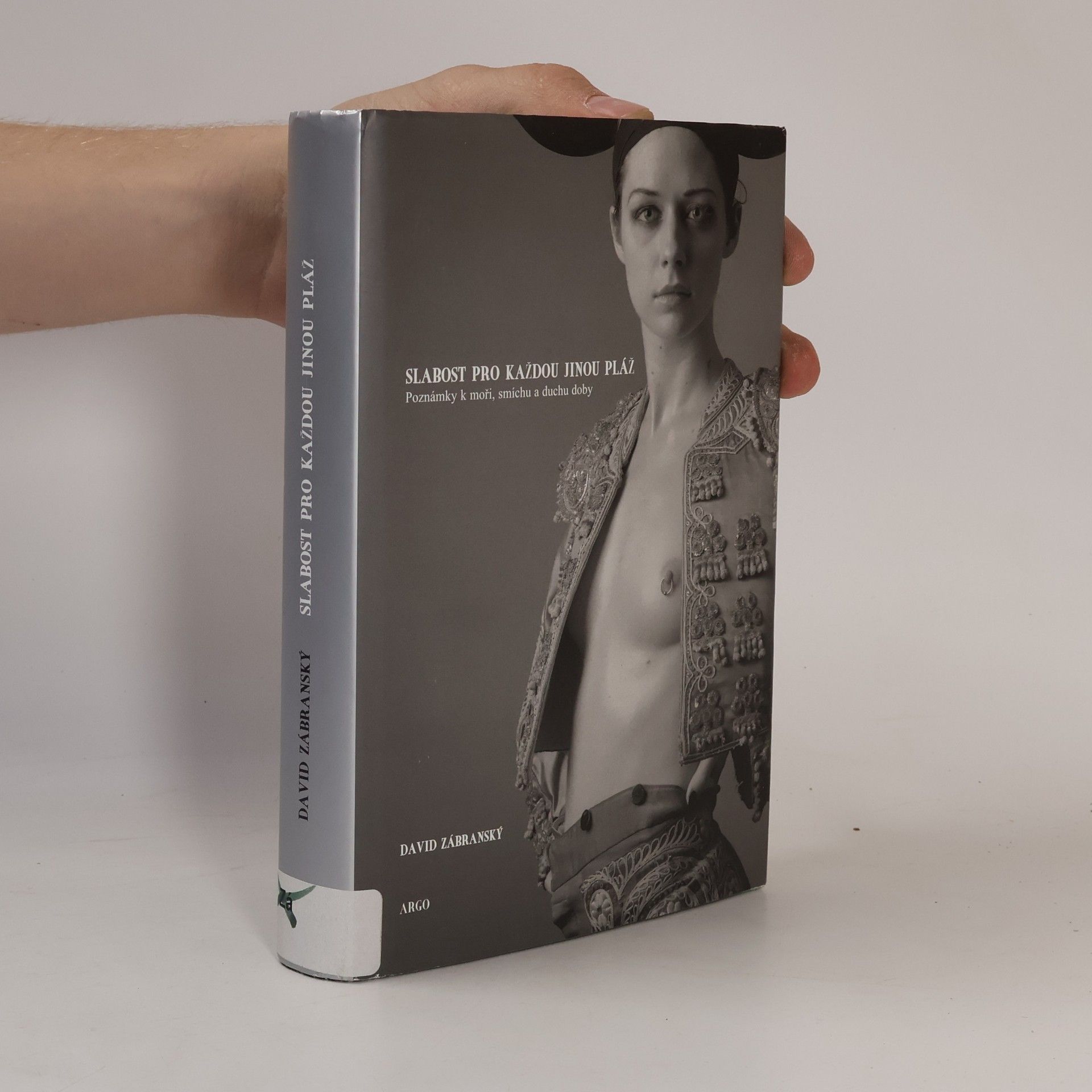 David Zábranský Slabost pro každou jinou pláž