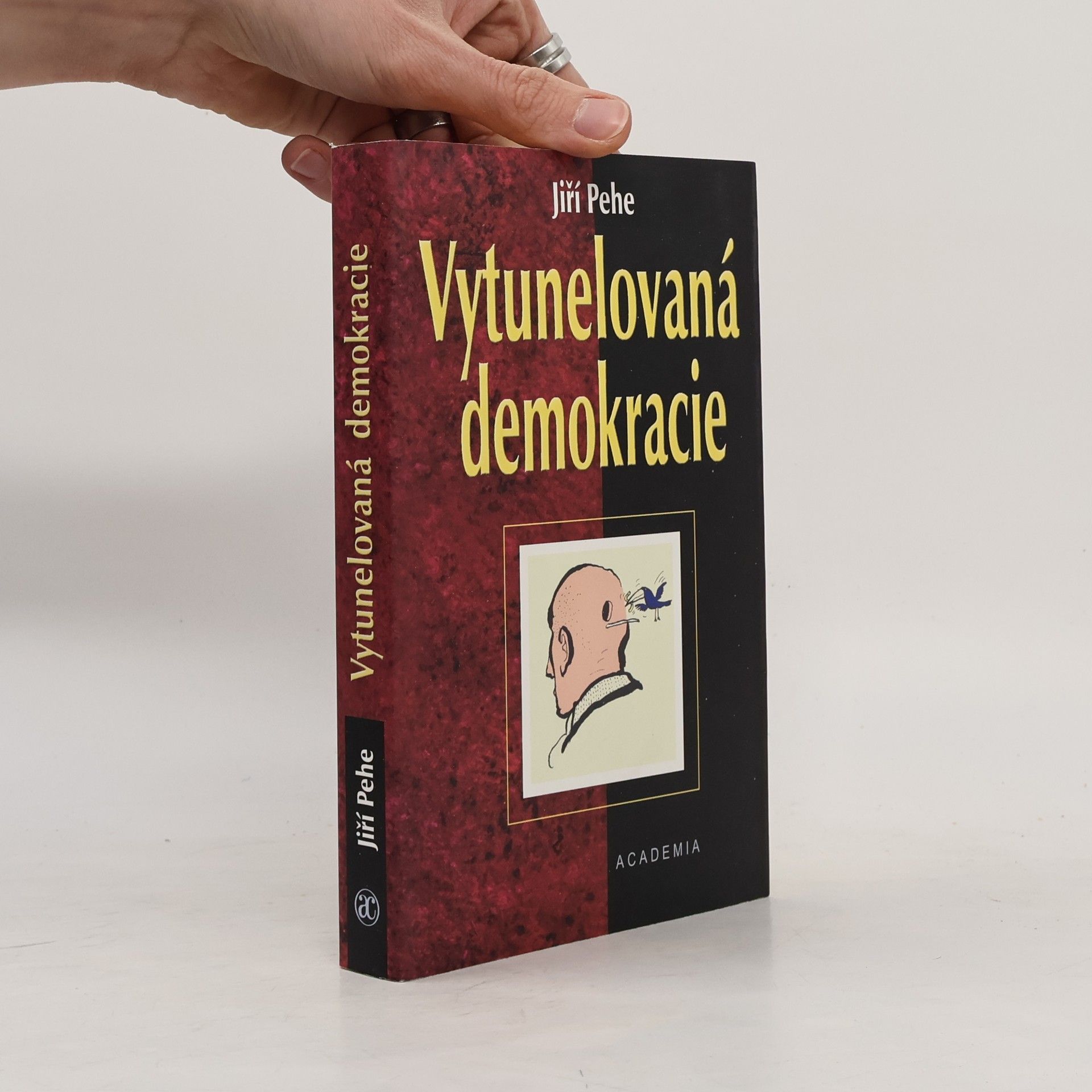 Jiří Pehe Vytunelovaná demokracie
