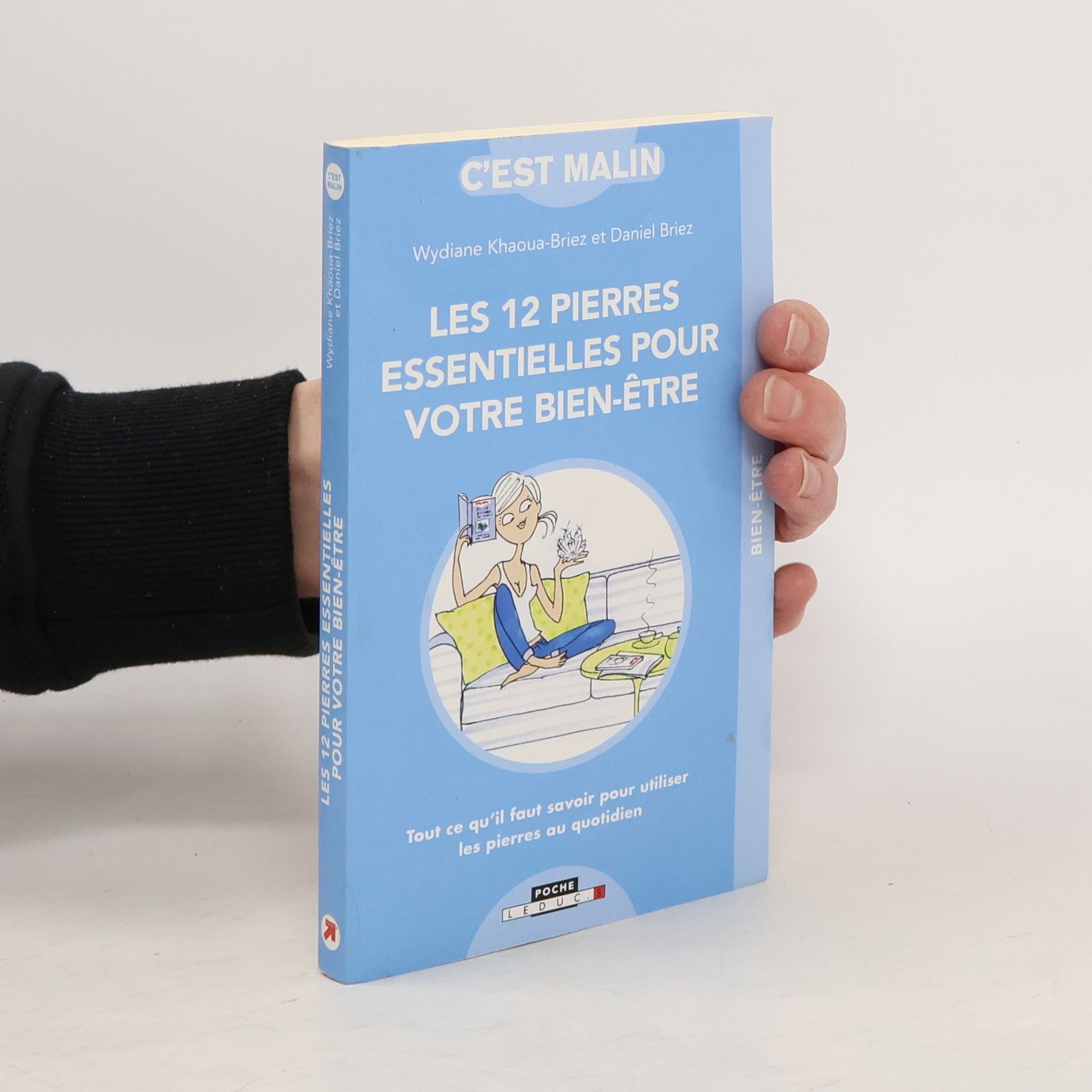 Daniel Briez Les 12 pierres essentielles pour votre bien-être