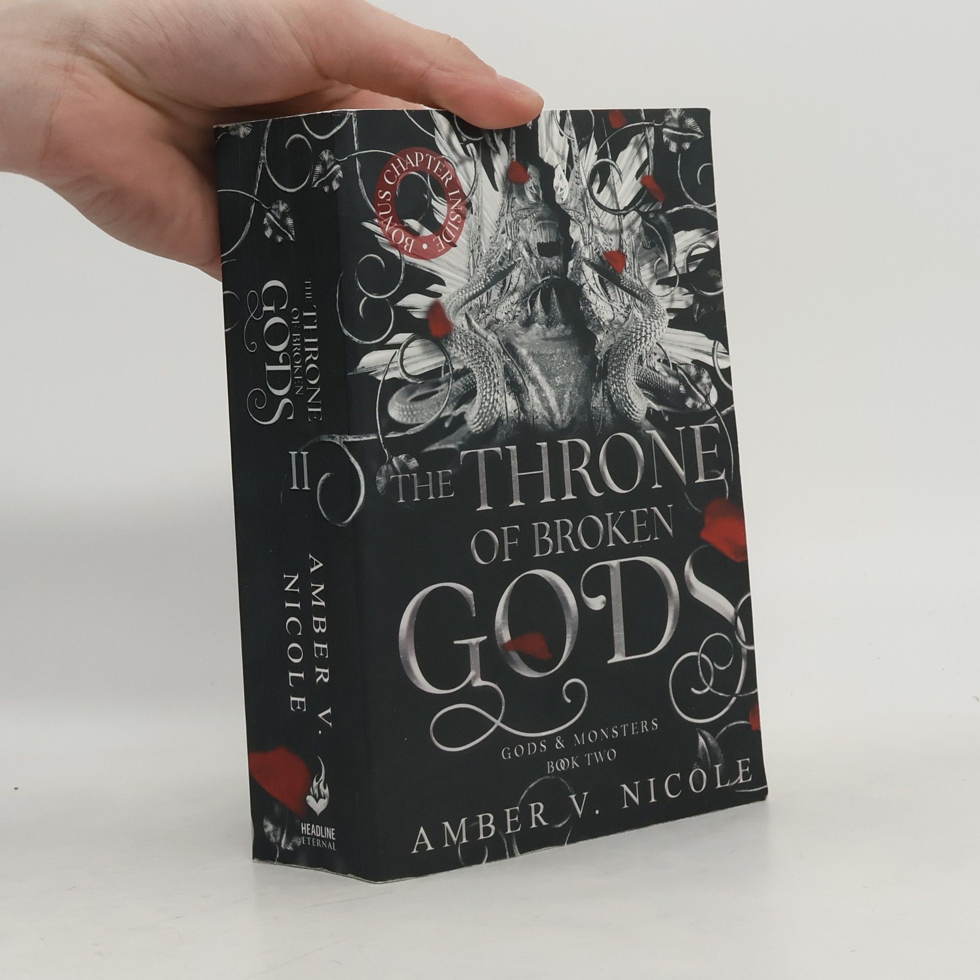 Amber V. Nicole The Throne of Broken Gods