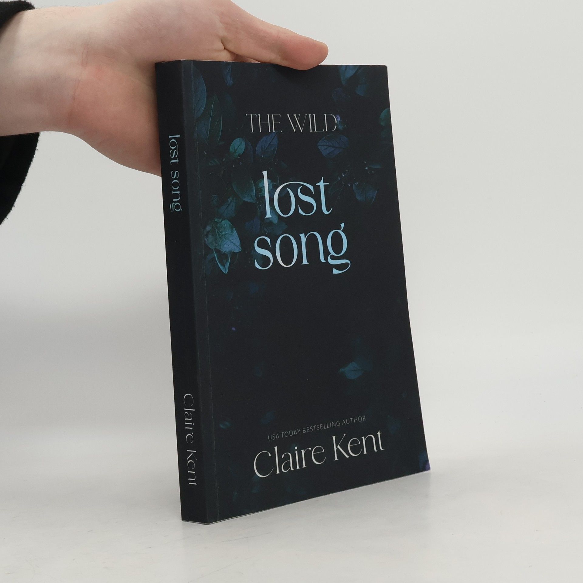 The Wild Lost Song
