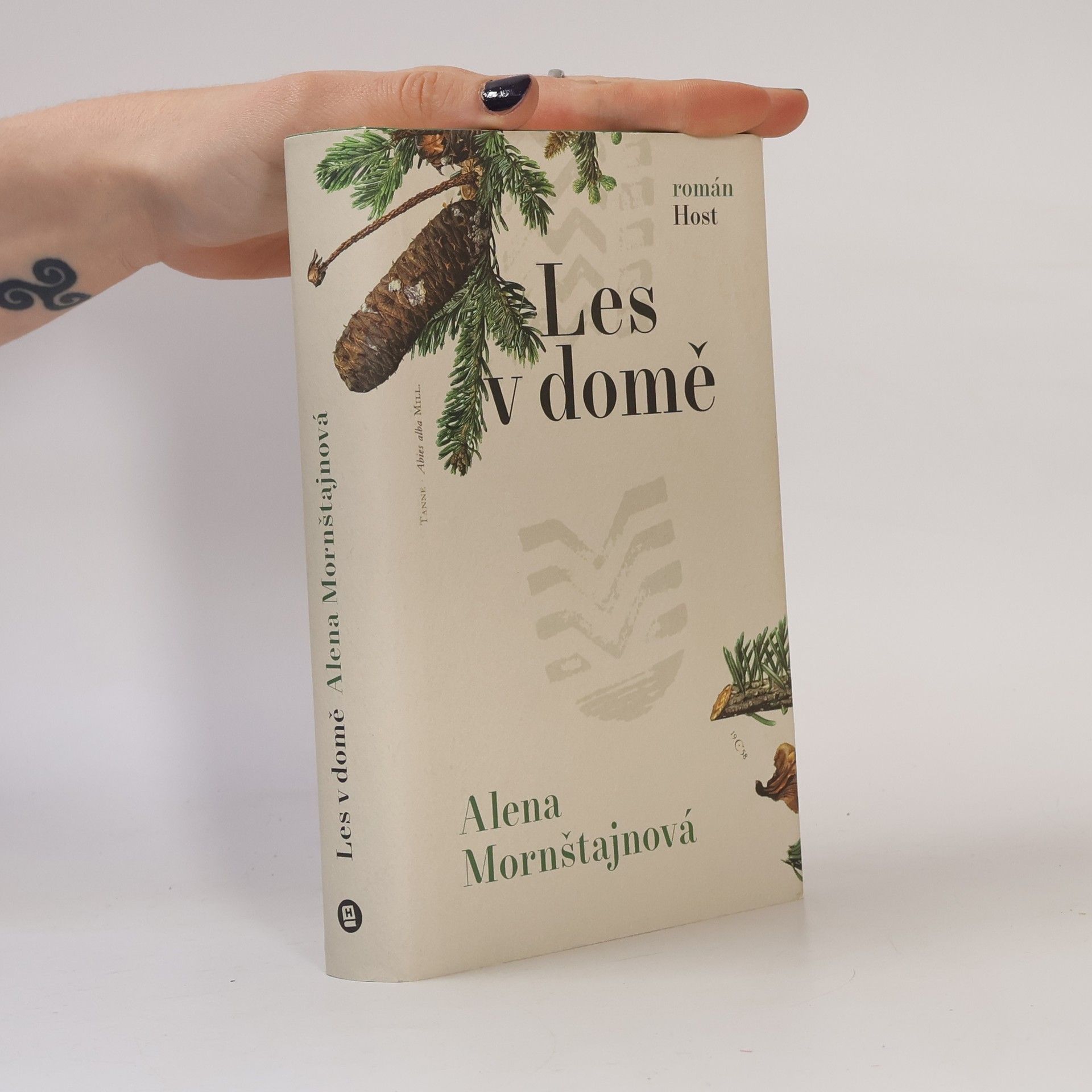 Alena Mornštajnová Les v domě