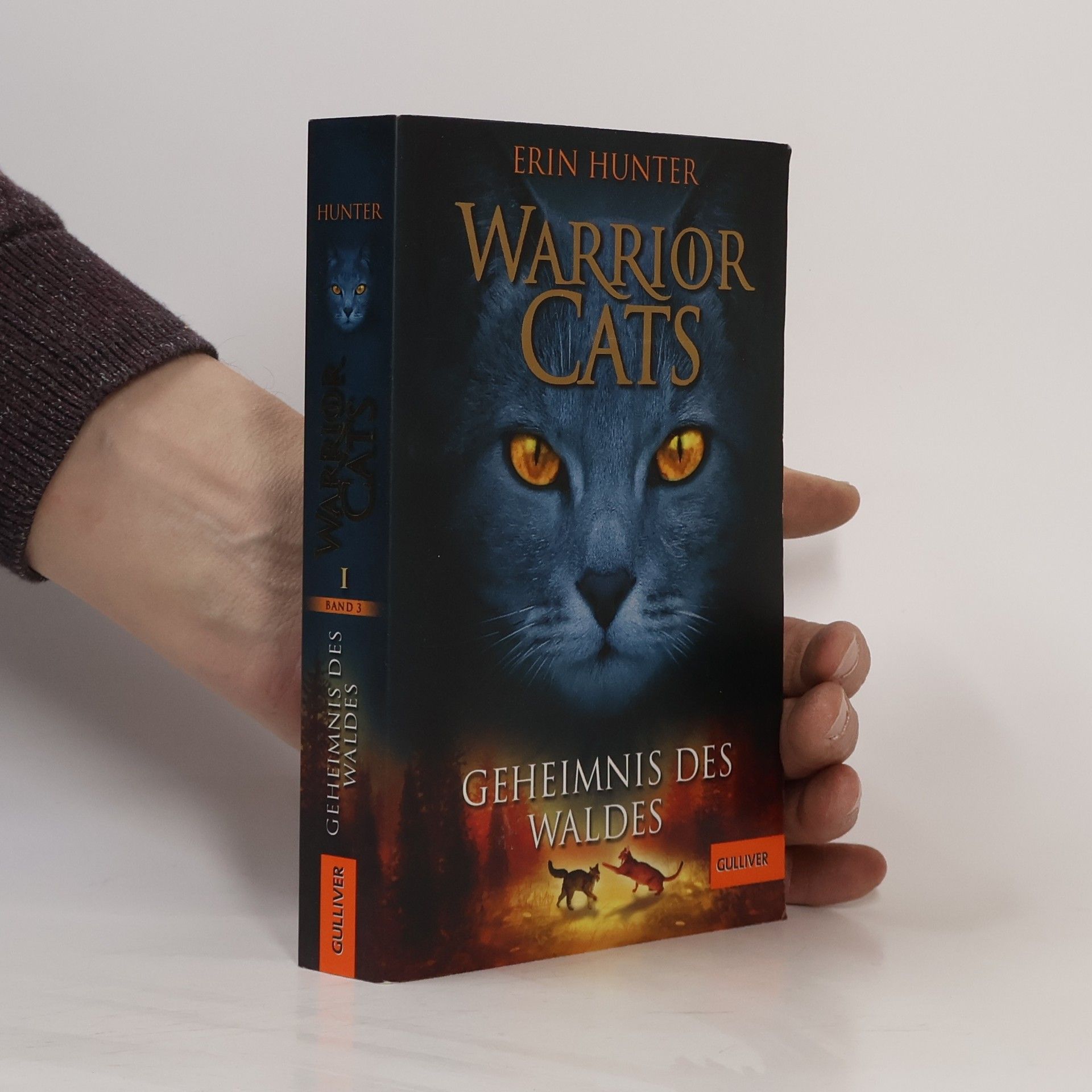 Erin Hunter Warrior Cats. Geheimnis des Waldes