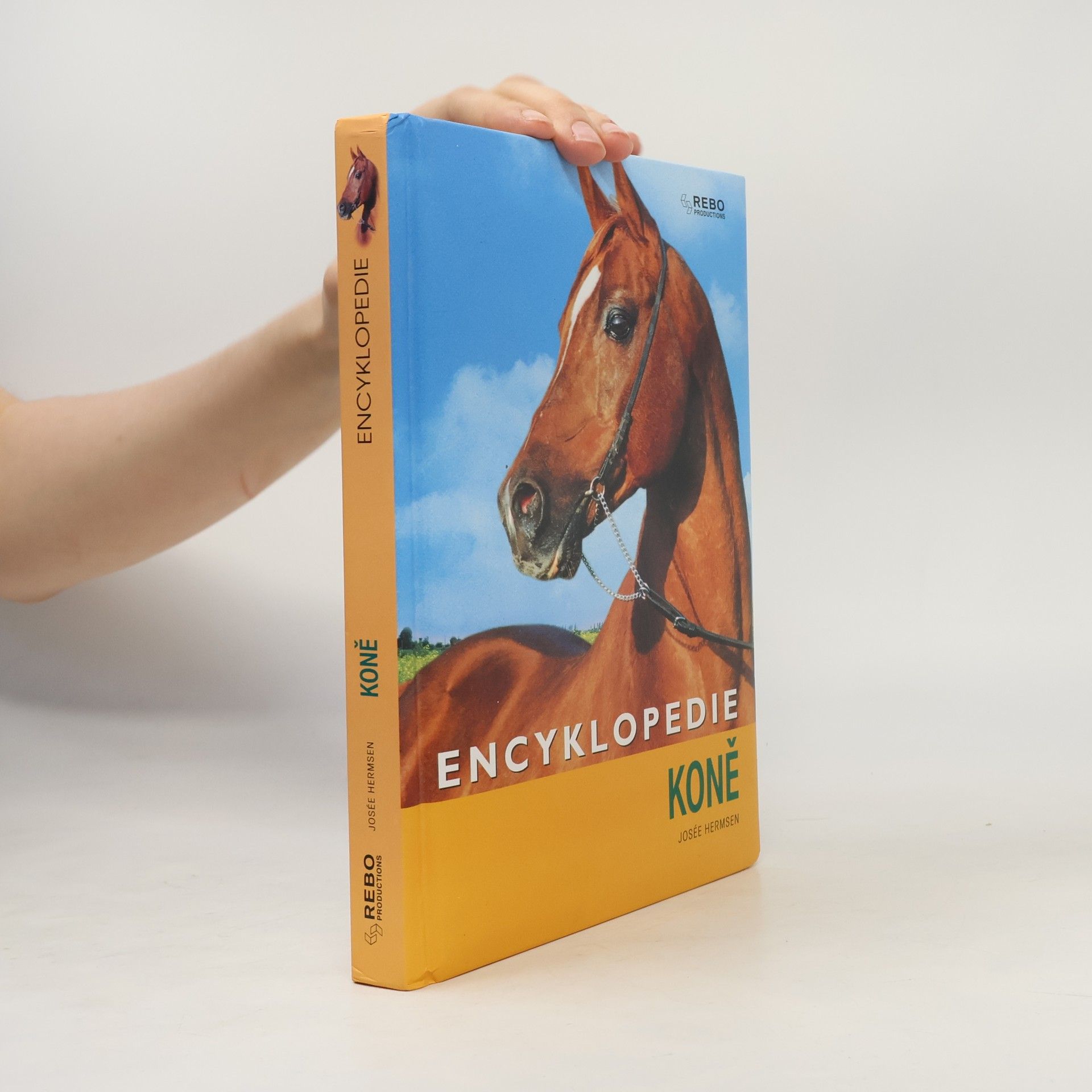 Kateřina Hlavová Koně : encyklopedie
