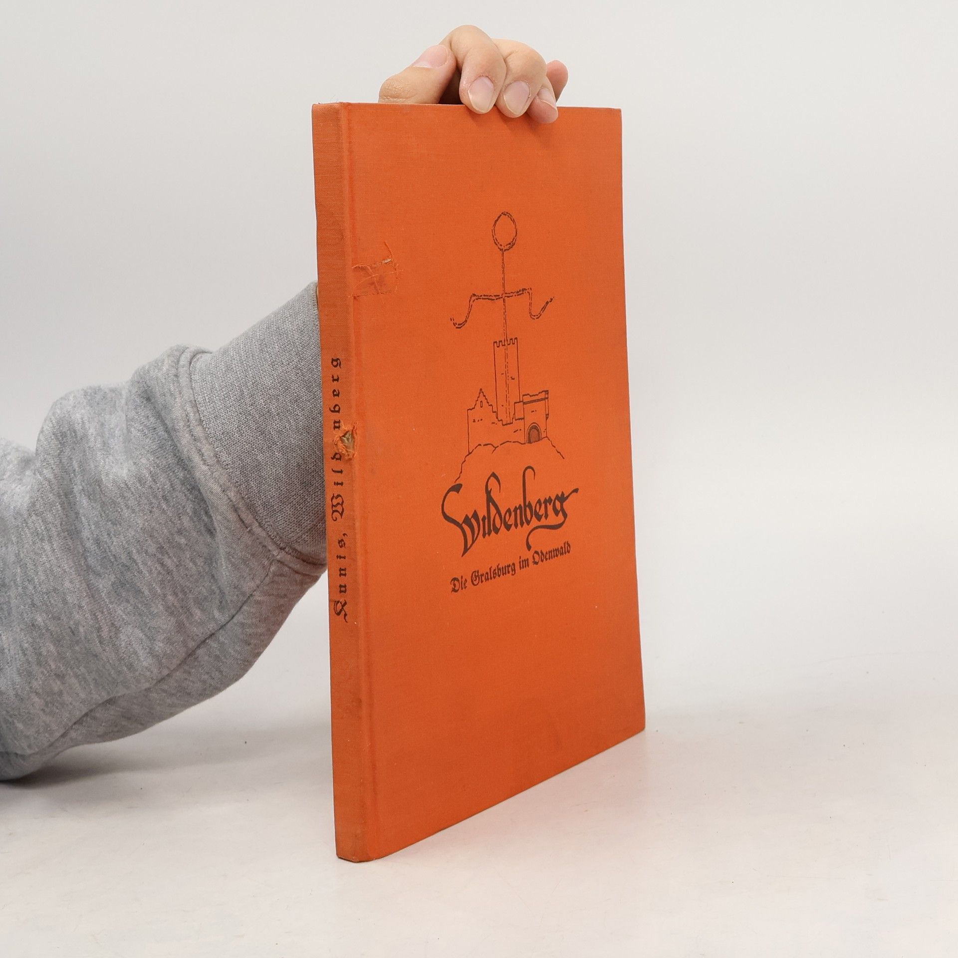 Hans Kunis Wildenberg. Die Gralsburg im Odenwald