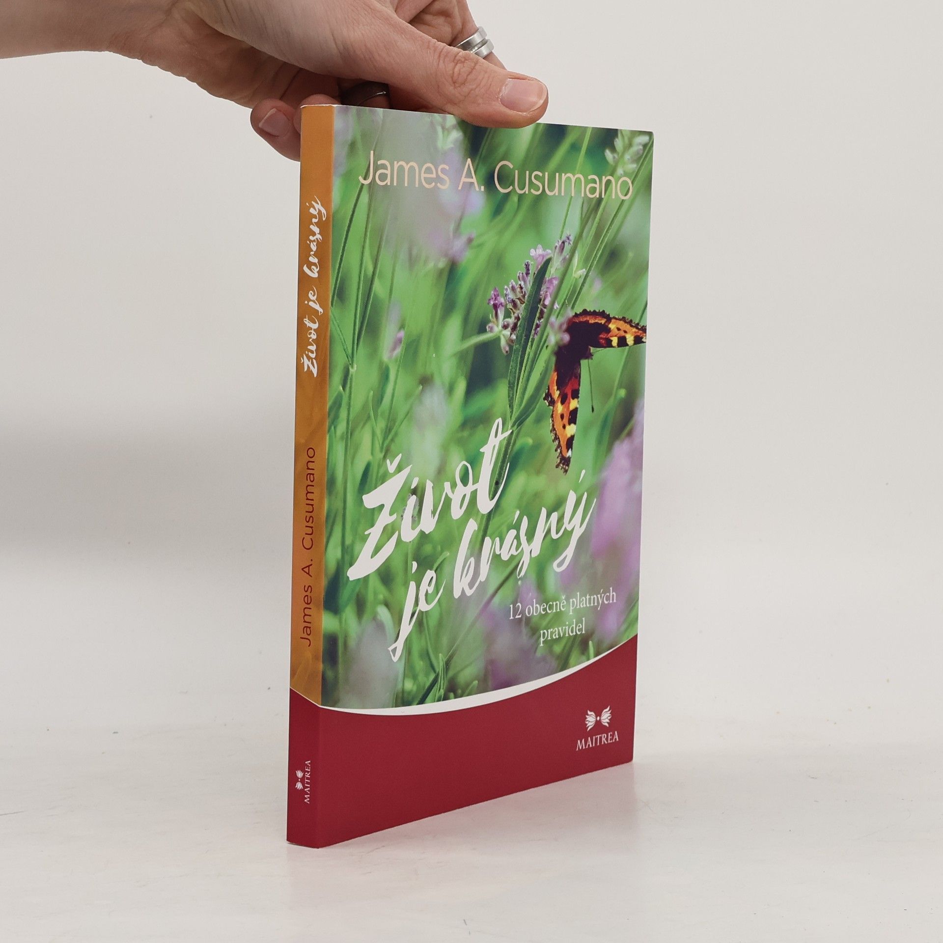 Adam Pumpr Život je krásný : 12 obecně platných pravidel